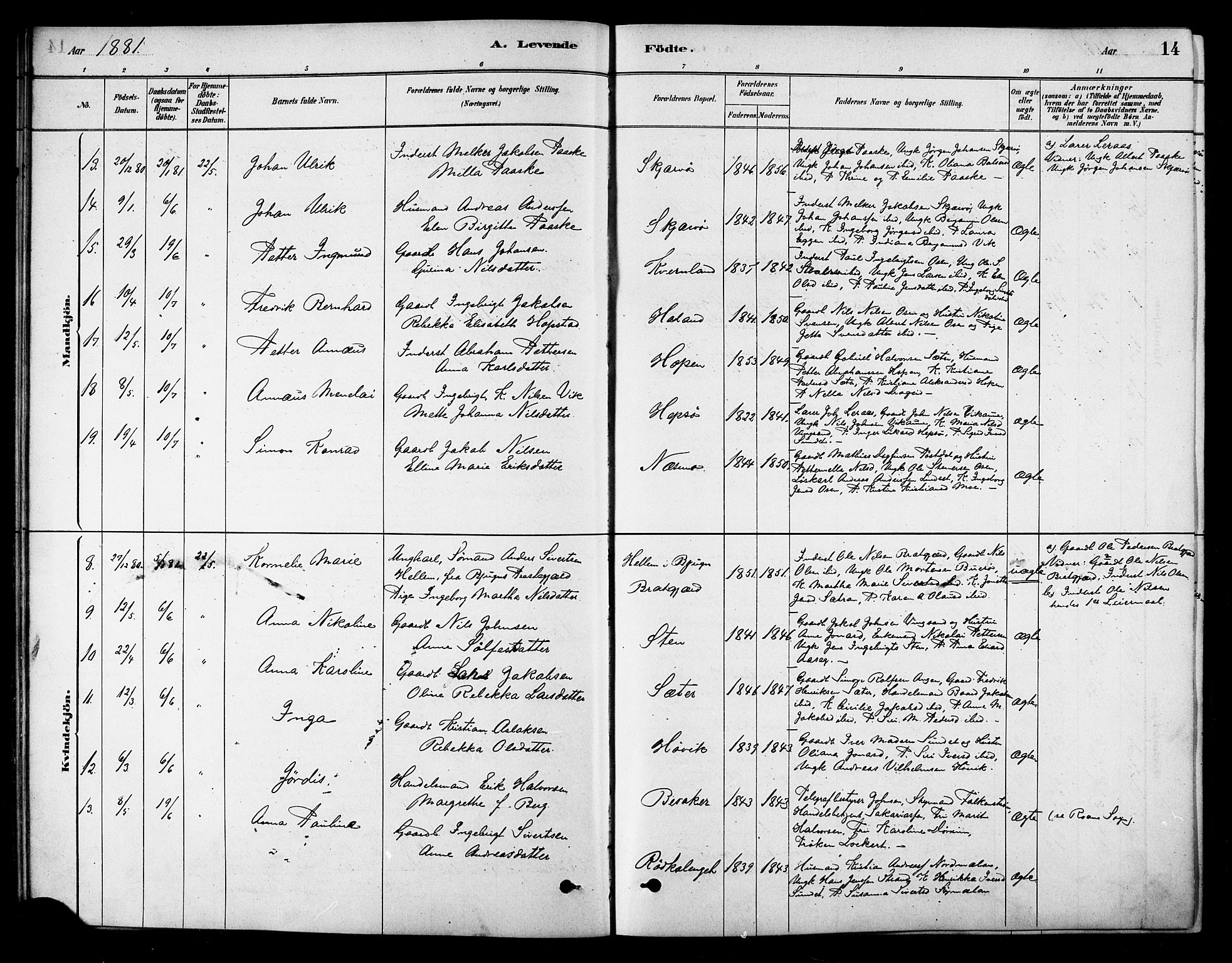 Ministerialprotokoller, klokkerbøker og fødselsregistre - Sør-Trøndelag, AV/SAT-A-1456/658/L0722: Parish register (official) no. 658A01, 1879-1896, p. 14