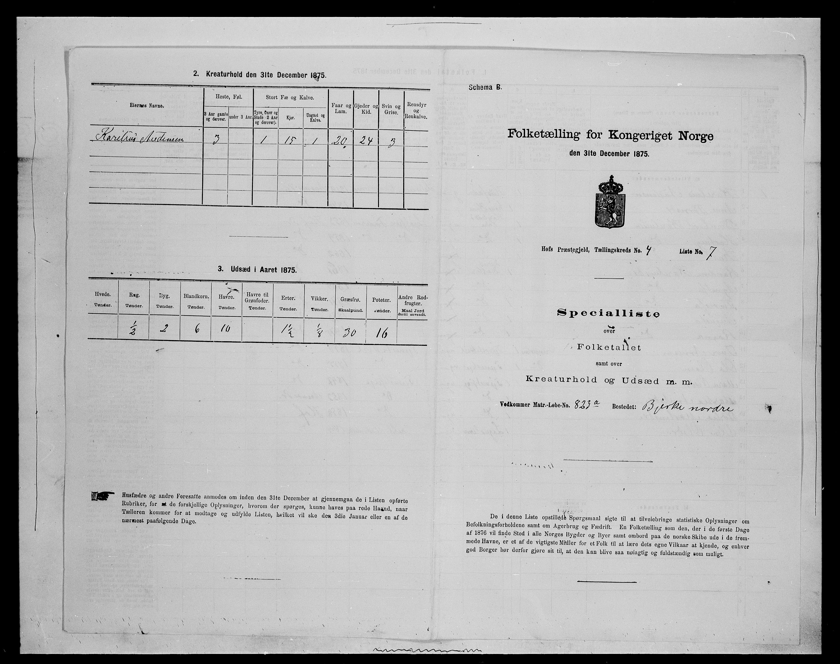 SAH, 1875 census for 0424P Hof, 1875, p. 694