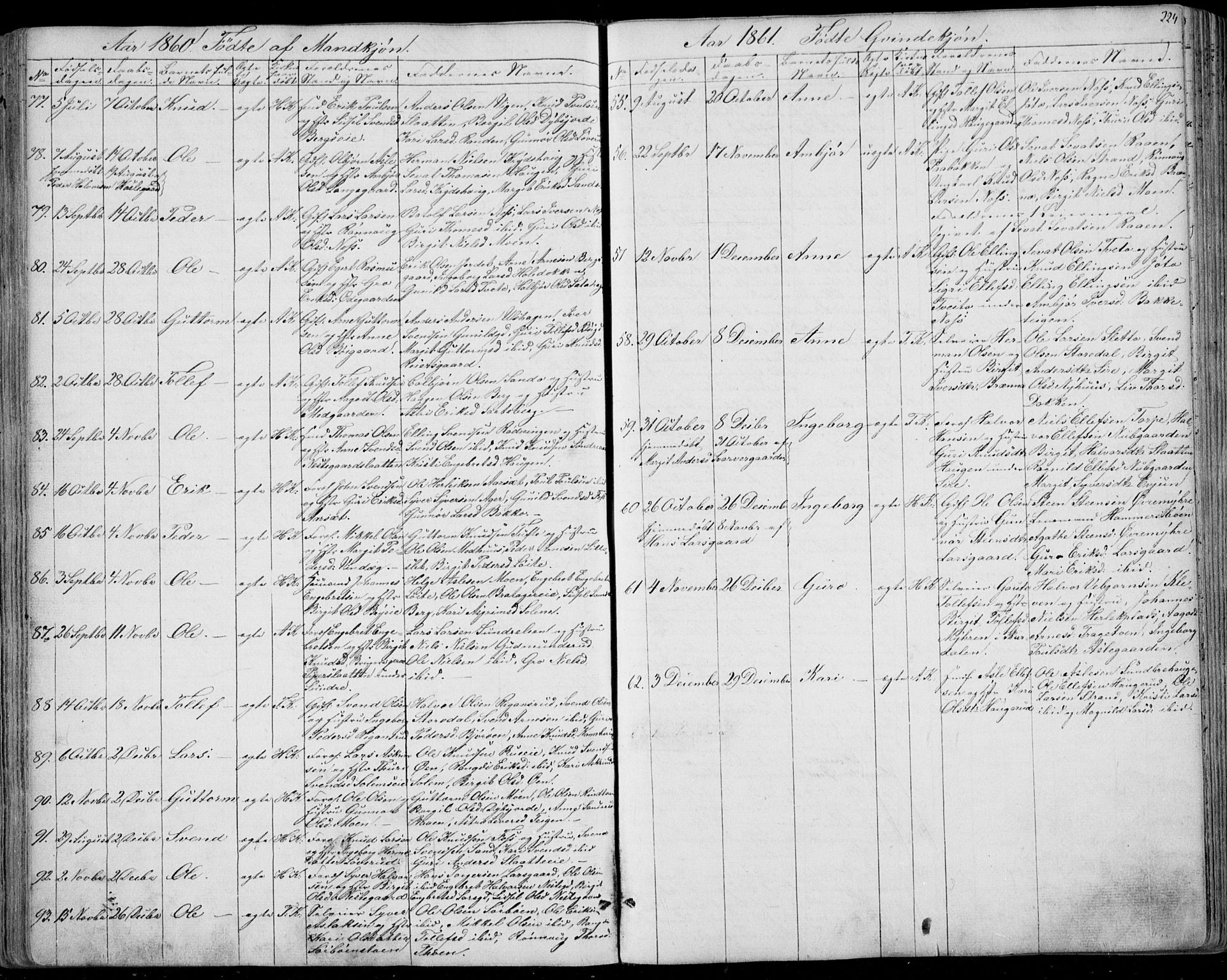 Ål kirkebøker, AV/SAKO-A-249/F/Fa/L0006: Parish register (official) no. I 6, 1849-1864, p. 224