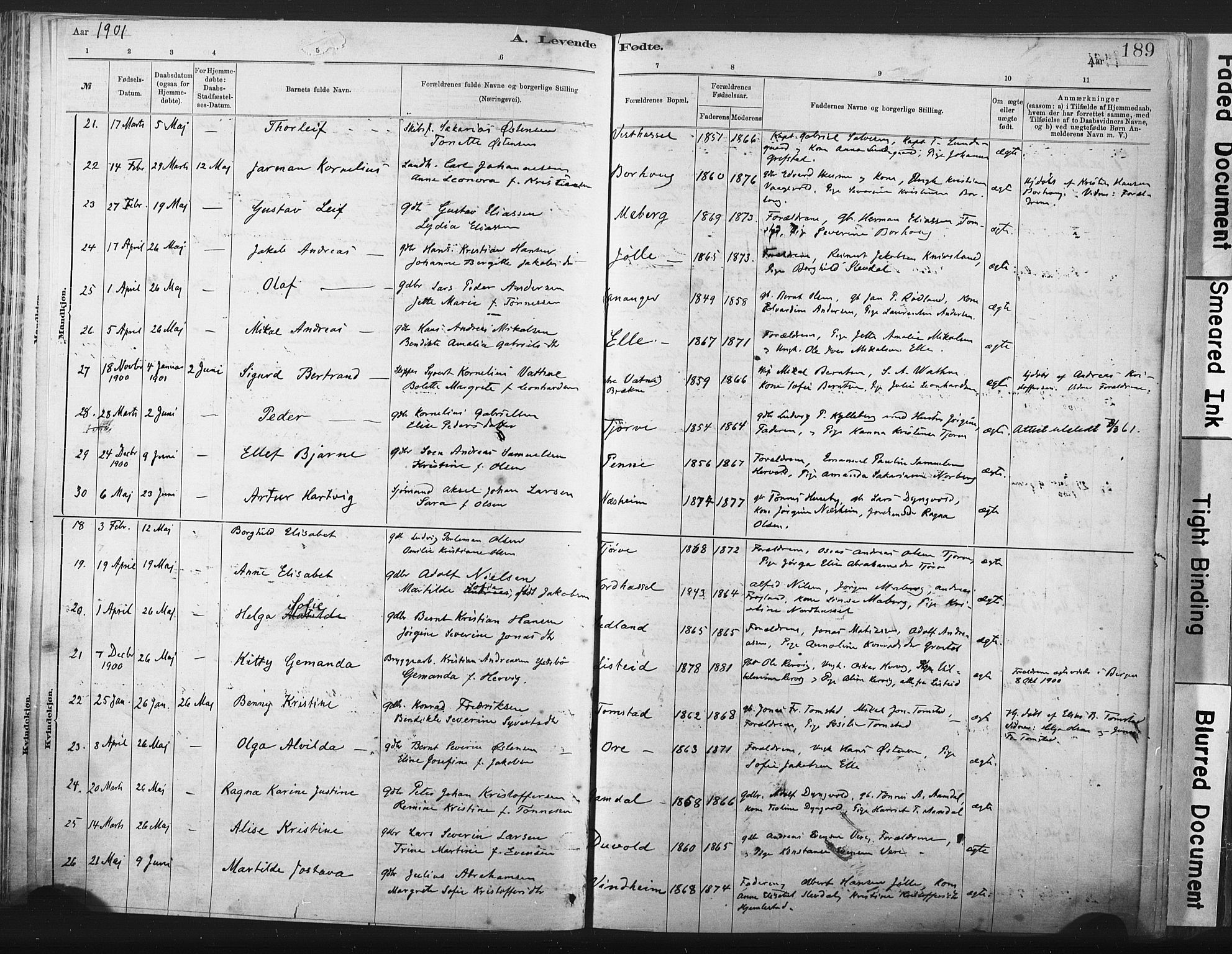 Lista sokneprestkontor, AV/SAK-1111-0027/F/Fa/L0012: Parish register (official) no. A 12, 1879-1903, p. 189