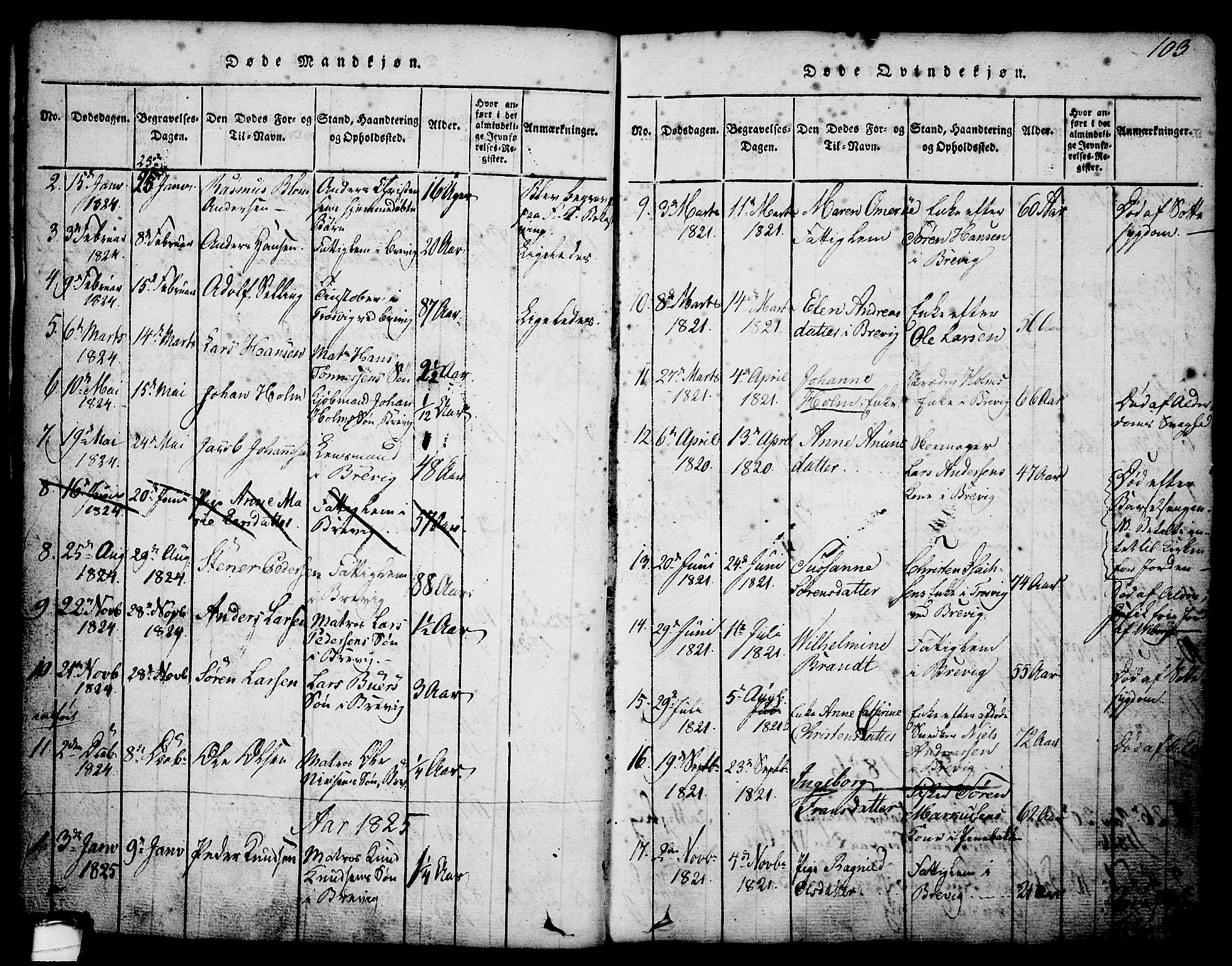 Brevik kirkebøker, AV/SAKO-A-255/G/Ga/L0001: Parish register (copy) no. 1, 1814-1845, p. 103