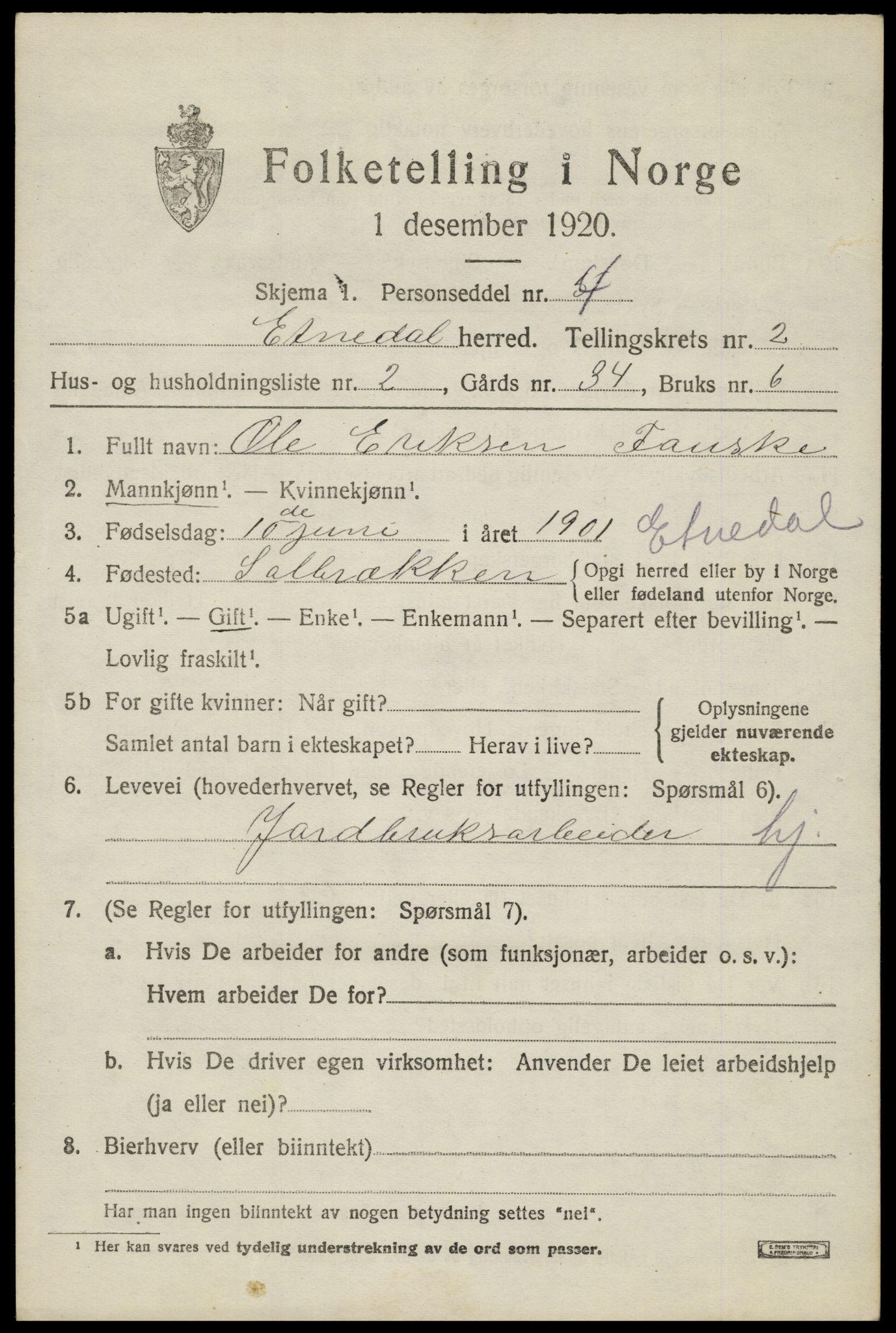 SAH, 1920 census for Etnedal, 1920, p. 1056