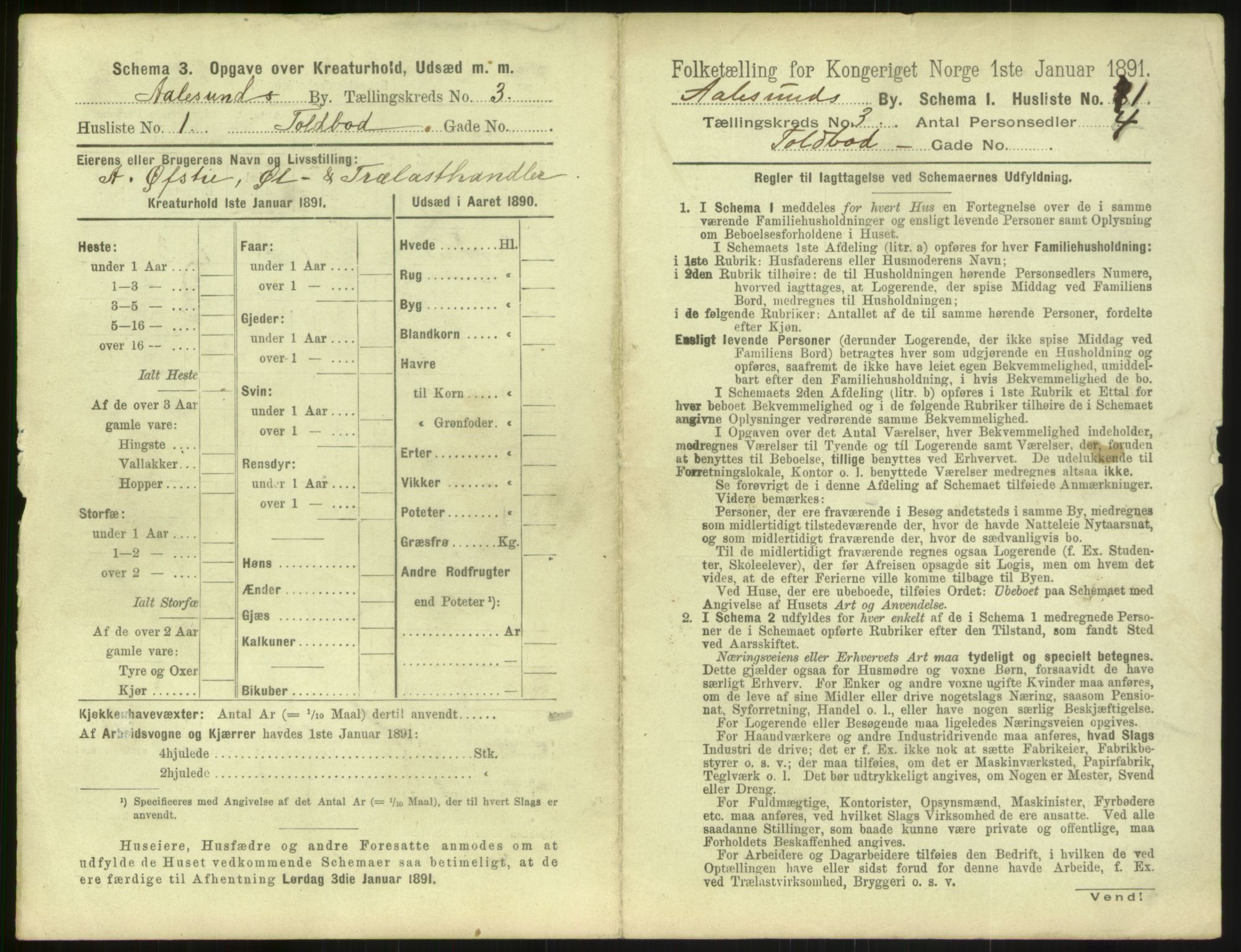 RA, 1891 census for 1501 Ålesund, 1891, p. 208