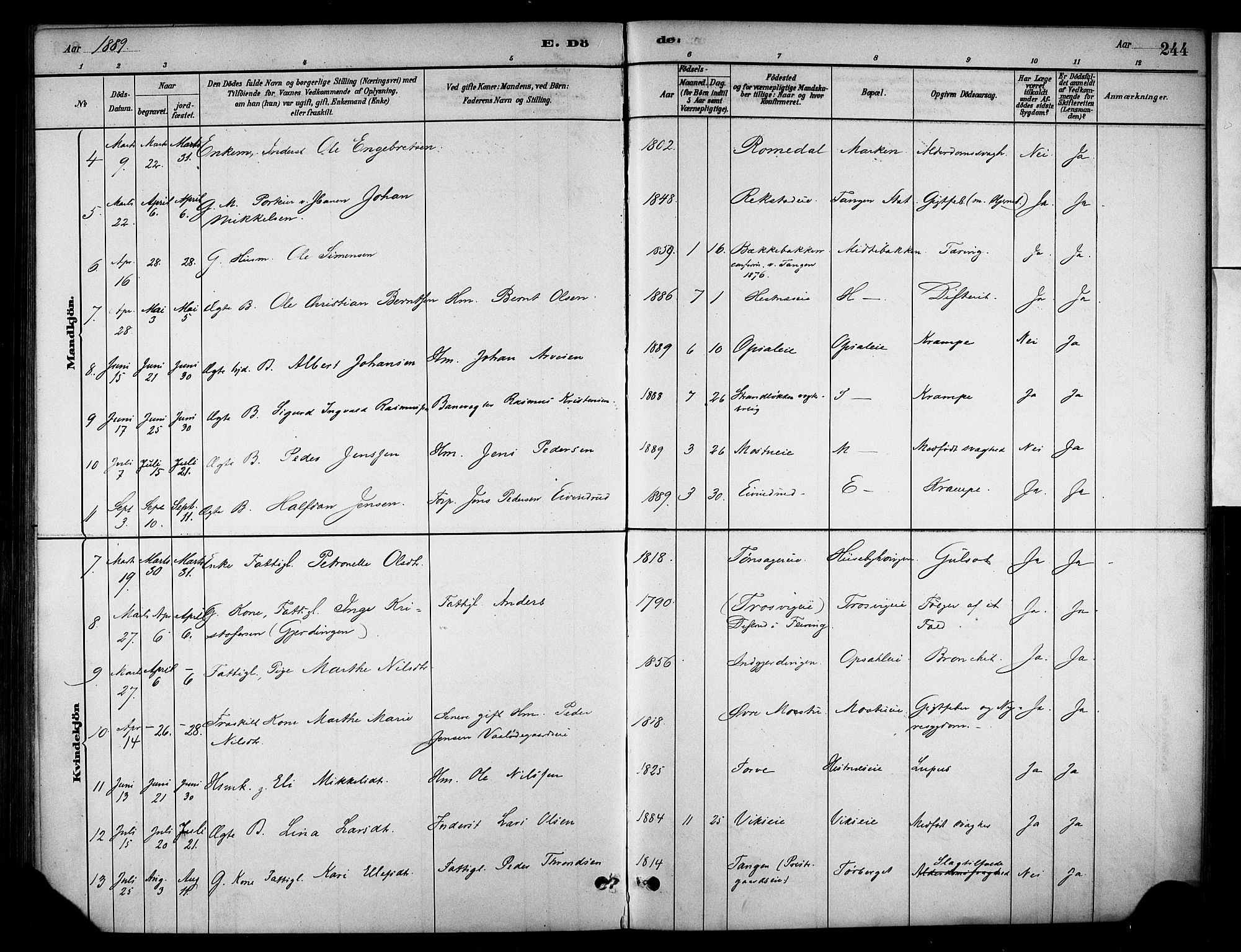 Stange prestekontor, AV/SAH-PREST-002/K/L0018: Parish register (official) no. 18, 1880-1896, p. 244