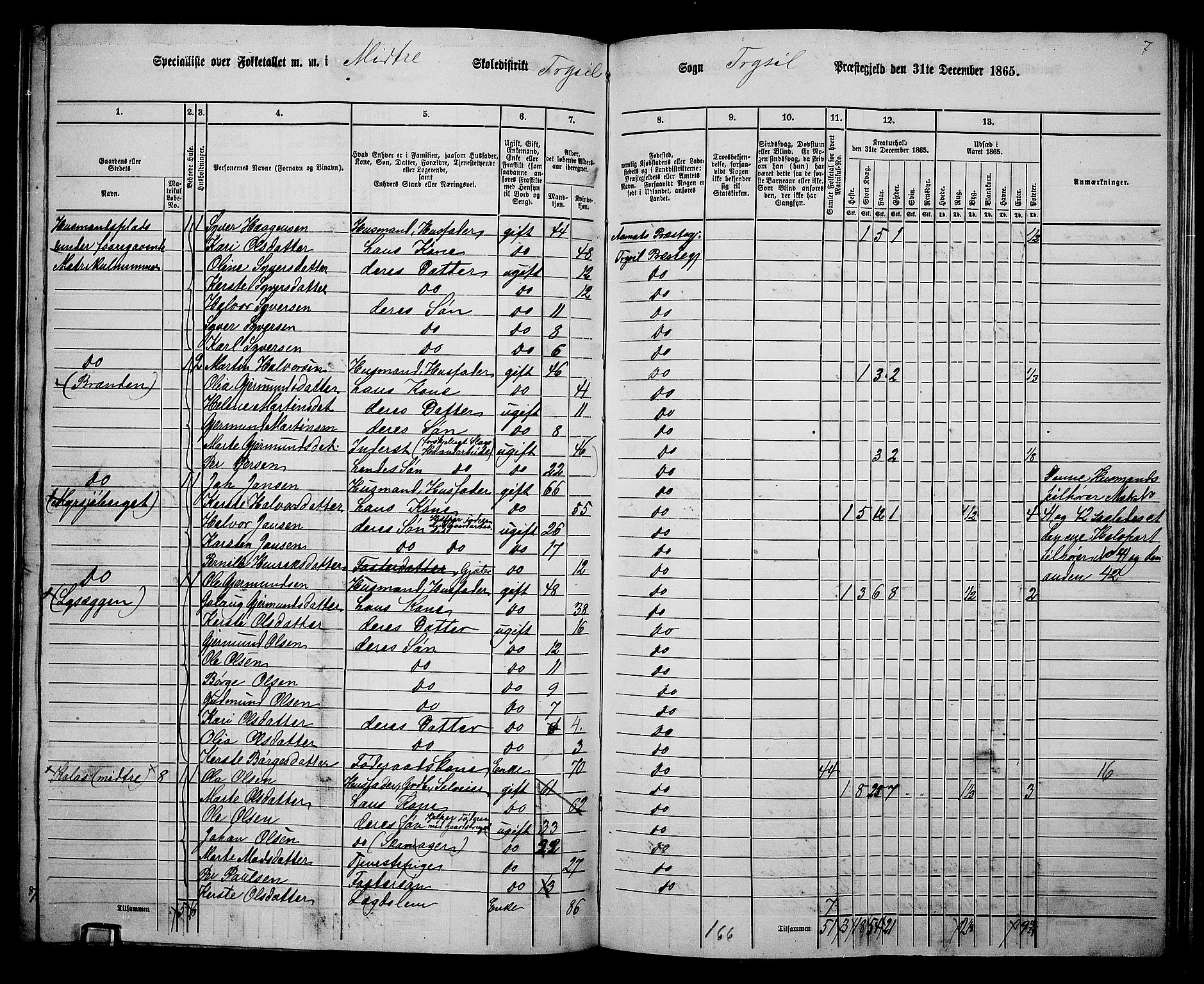 RA, 1865 census for Trysil, 1865, p. 118