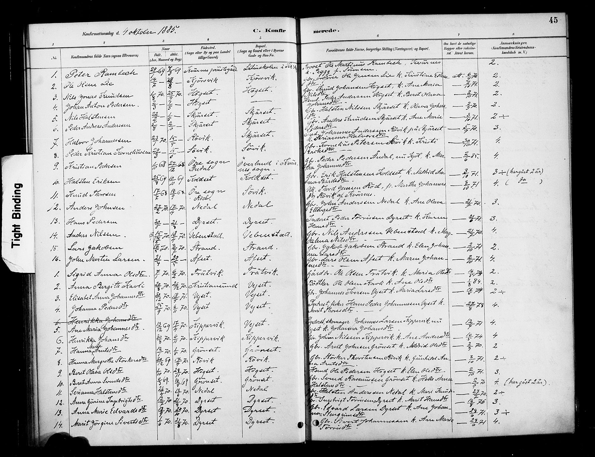 Ministerialprotokoller, klokkerbøker og fødselsregistre - Møre og Romsdal, SAT/A-1454/568/L0809: Parish register (official) no. 568A13, 1884-1900, p. 45