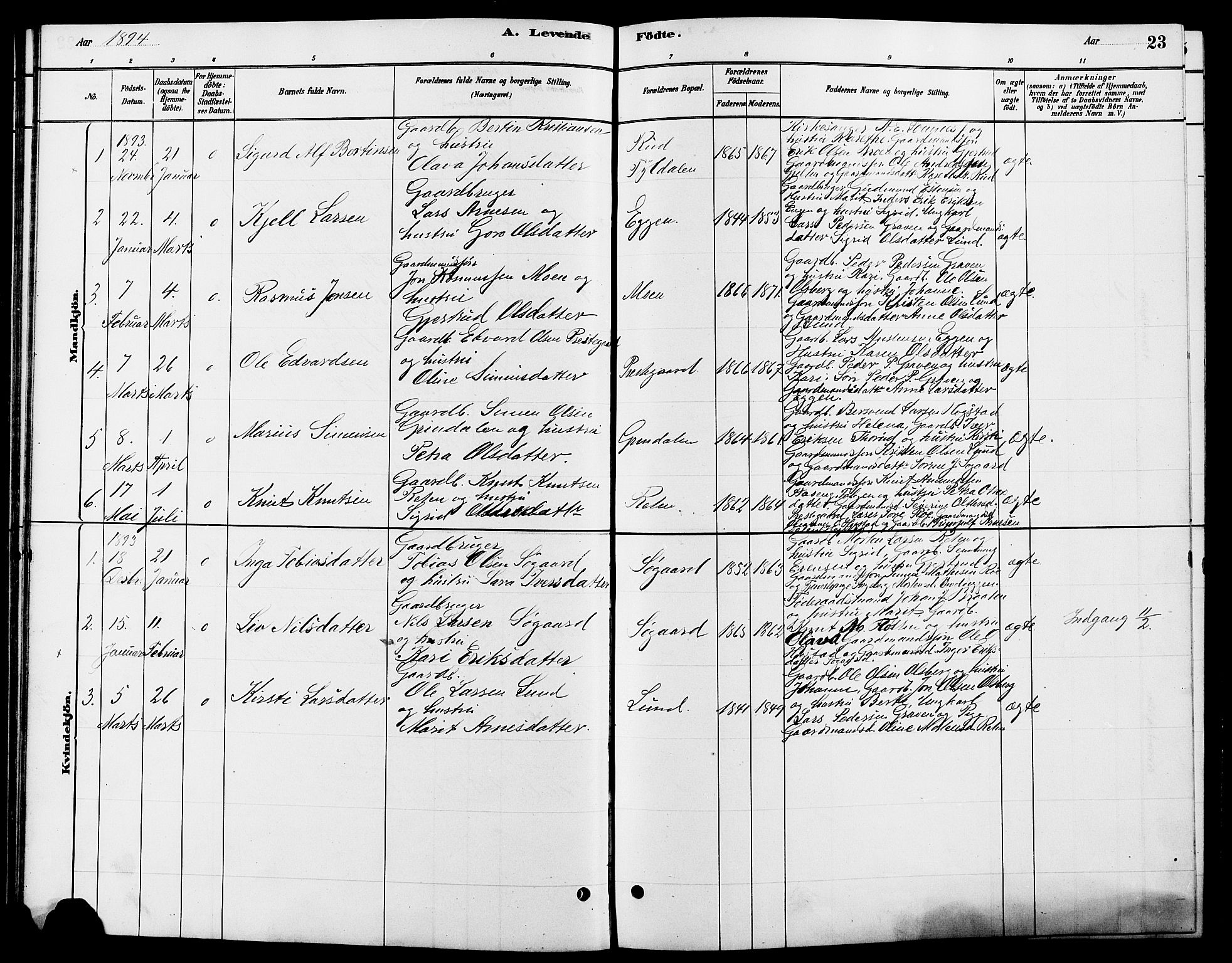 Tynset prestekontor, SAH/PREST-058/H/Ha/Hab/L0007: Parish register (copy) no. 7, 1880-1901, p. 23