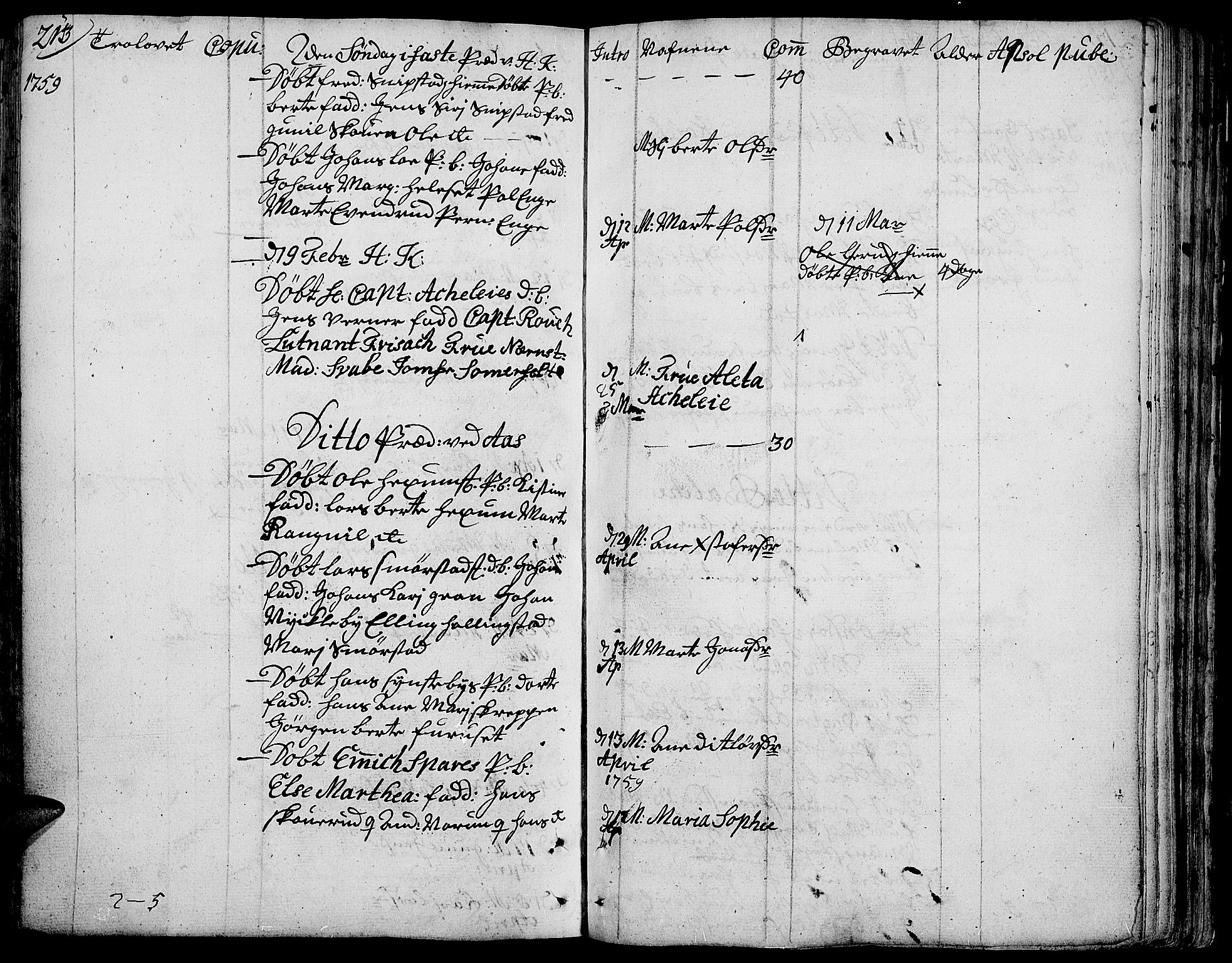 Toten prestekontor, SAH/PREST-102/H/Ha/Haa/L0004: Parish register (official) no. 4, 1751-1761, p. 213