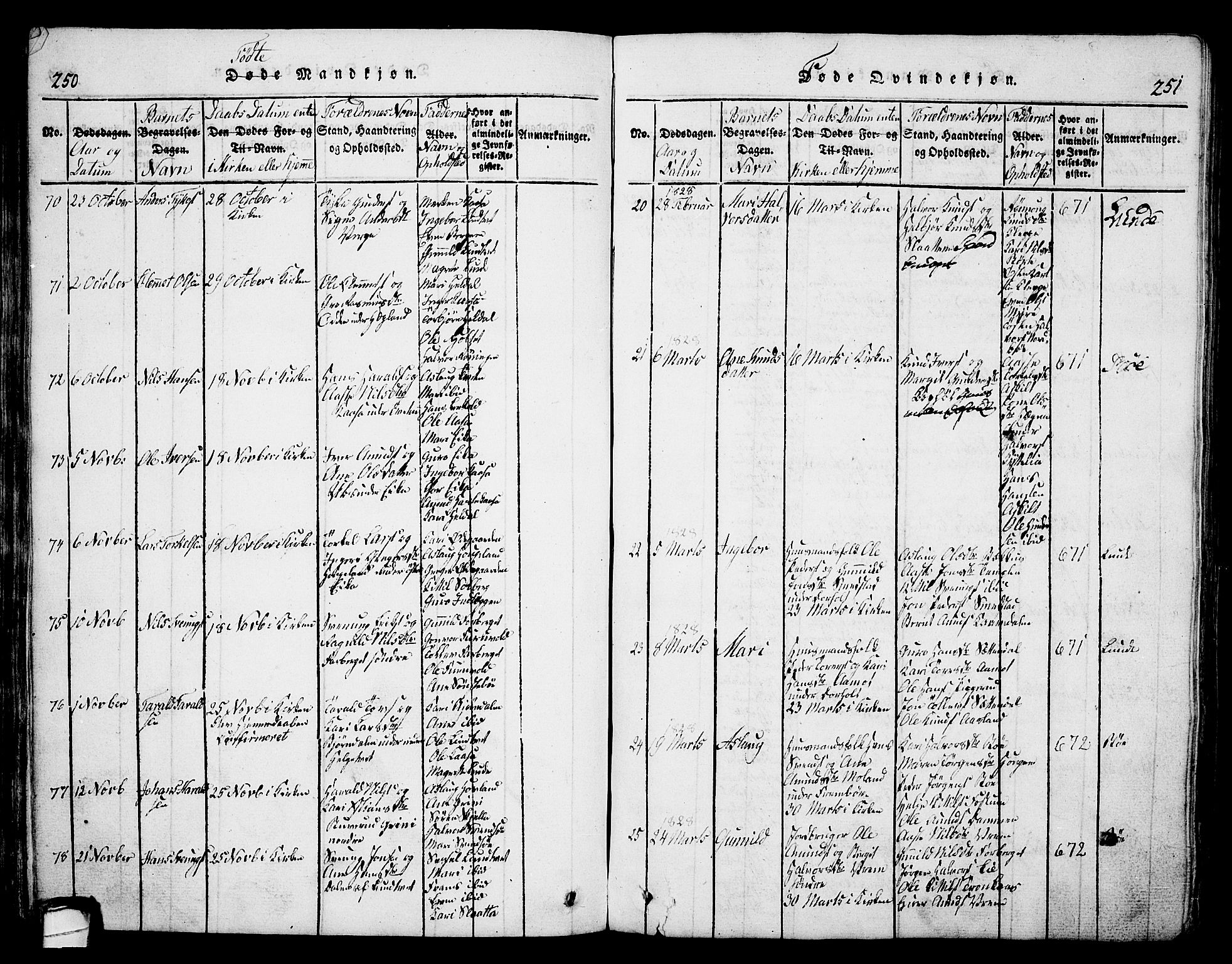 Bø kirkebøker, AV/SAKO-A-257/G/Ga/L0001: Parish register (copy) no. 1, 1815-1831, p. 250-251