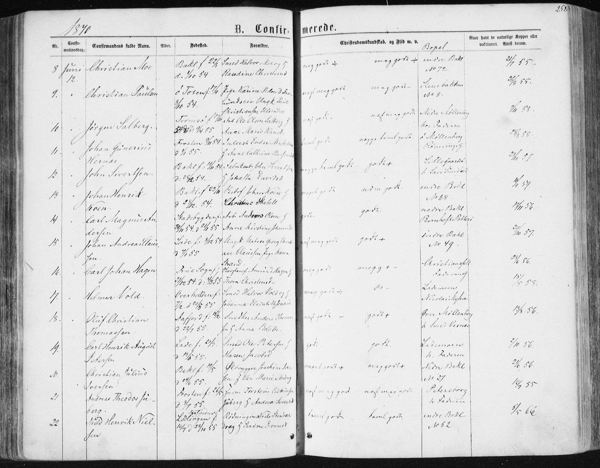 Ministerialprotokoller, klokkerbøker og fødselsregistre - Sør-Trøndelag, SAT/A-1456/604/L0186: Parish register (official) no. 604A07, 1866-1877, p. 252