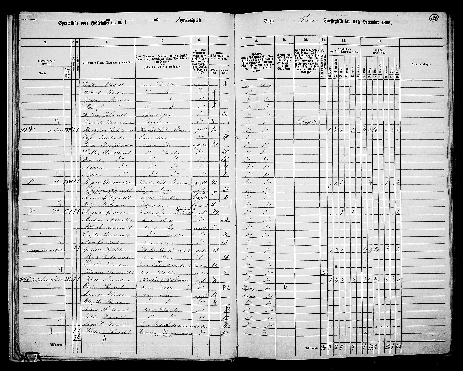 RA, 1865 census for Tune, 1865, p. 28