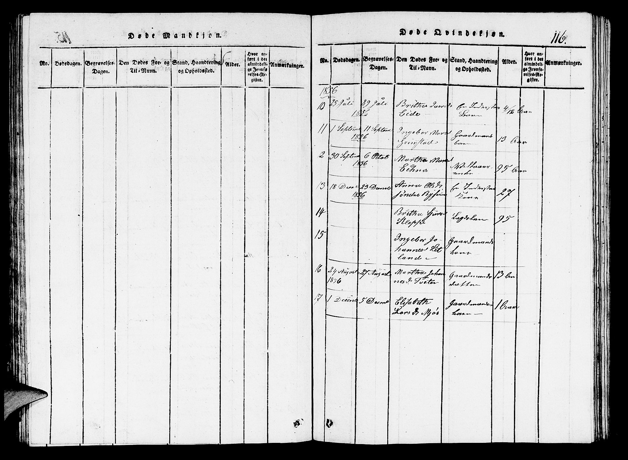 Hosanger sokneprestembete, AV/SAB-A-75801/H/Hab: Parish register (copy) no. A 1 /1, 1816-1856, p. 116