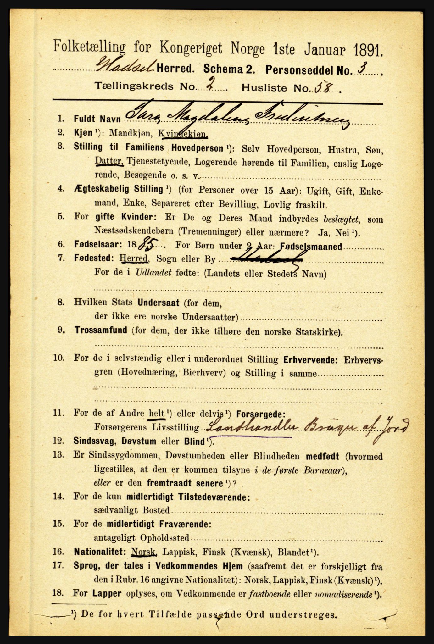 RA, 1891 census for 1866 Hadsel, 1891, p. 992