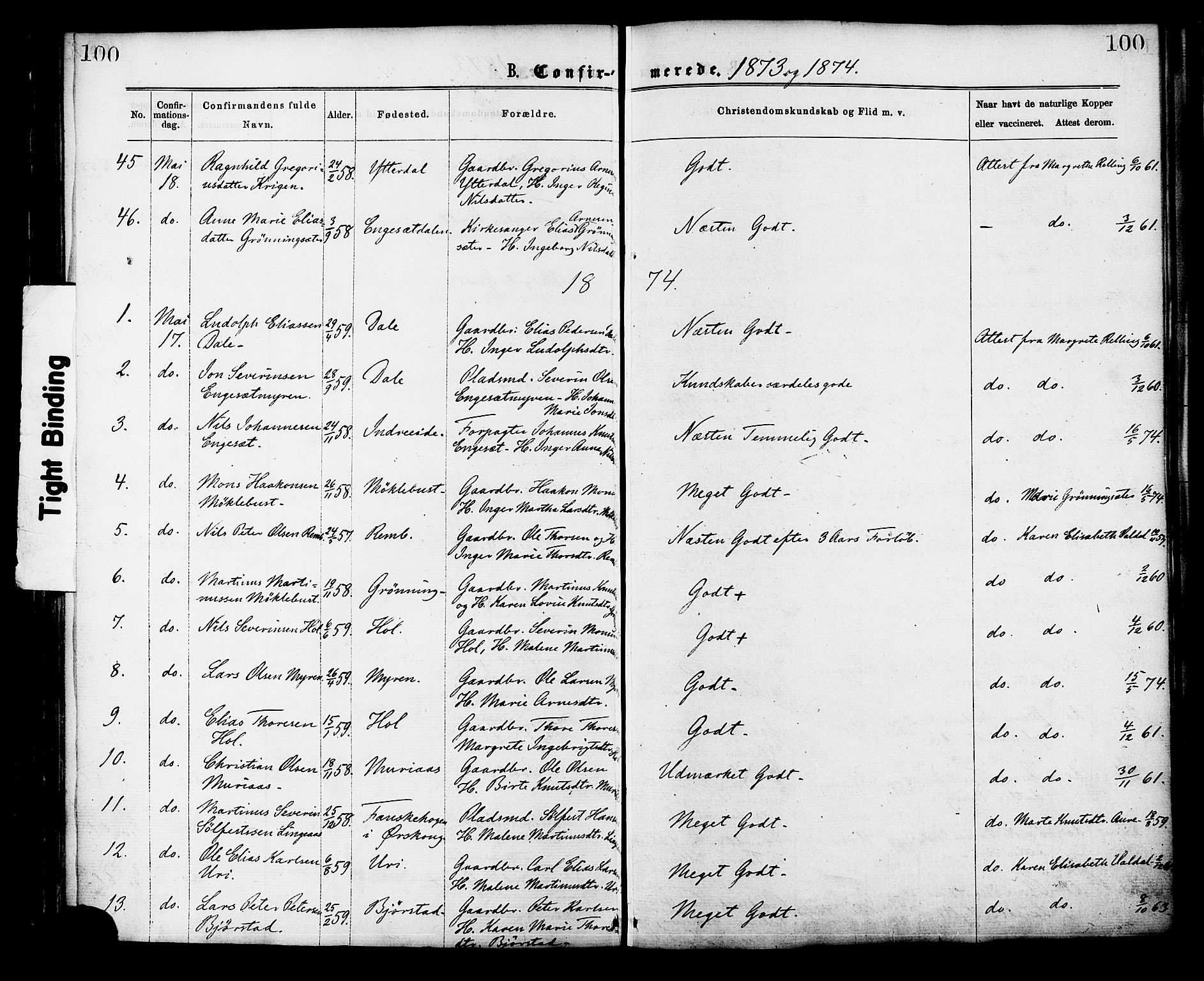 Ministerialprotokoller, klokkerbøker og fødselsregistre - Møre og Romsdal, SAT/A-1454/519/L0254: Parish register (official) no. 519A13, 1868-1883, p. 100