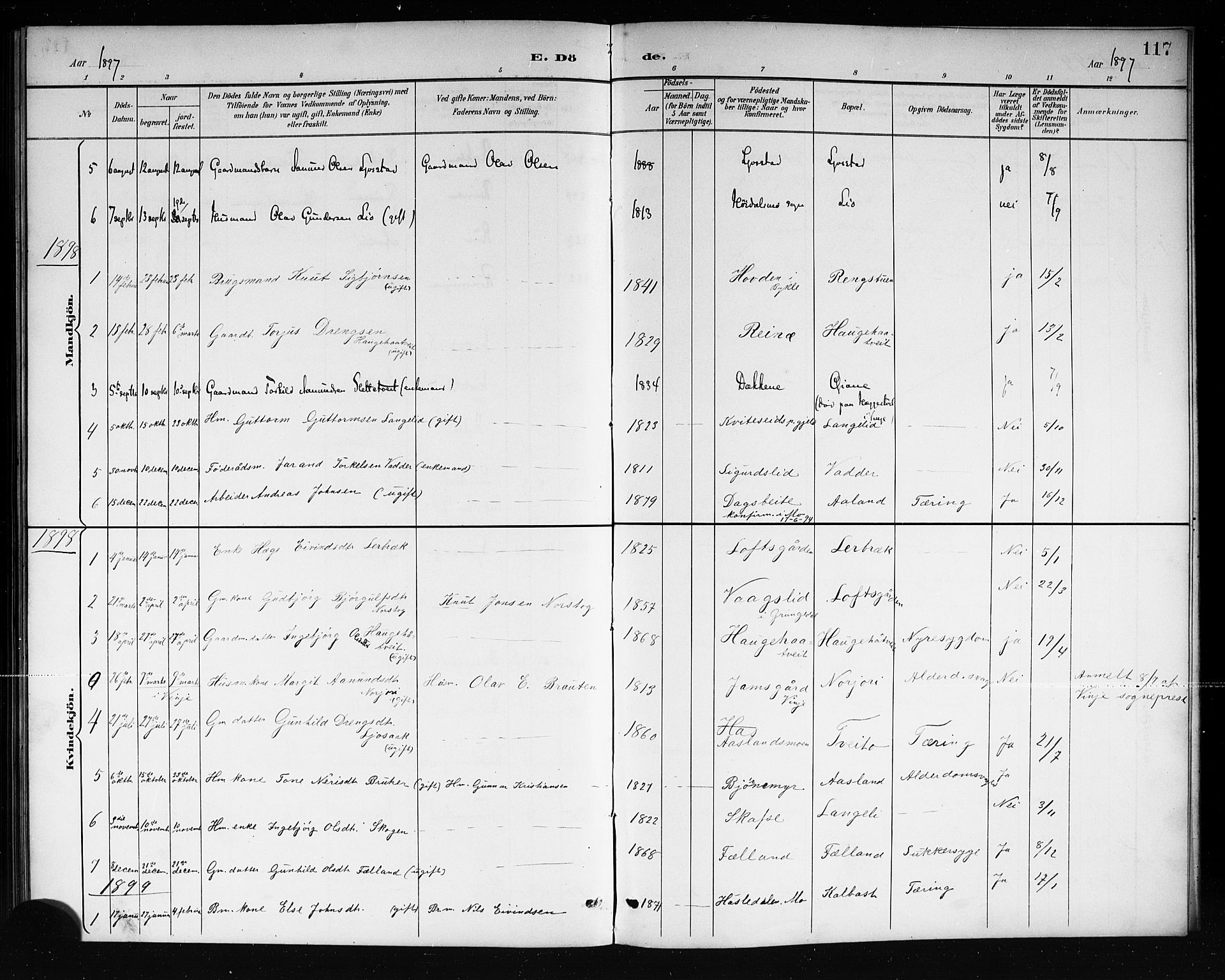 Mo kirkebøker, SAKO/A-286/G/Ga/L0002: Parish register (copy) no. I 2, 1892-1914, p. 117