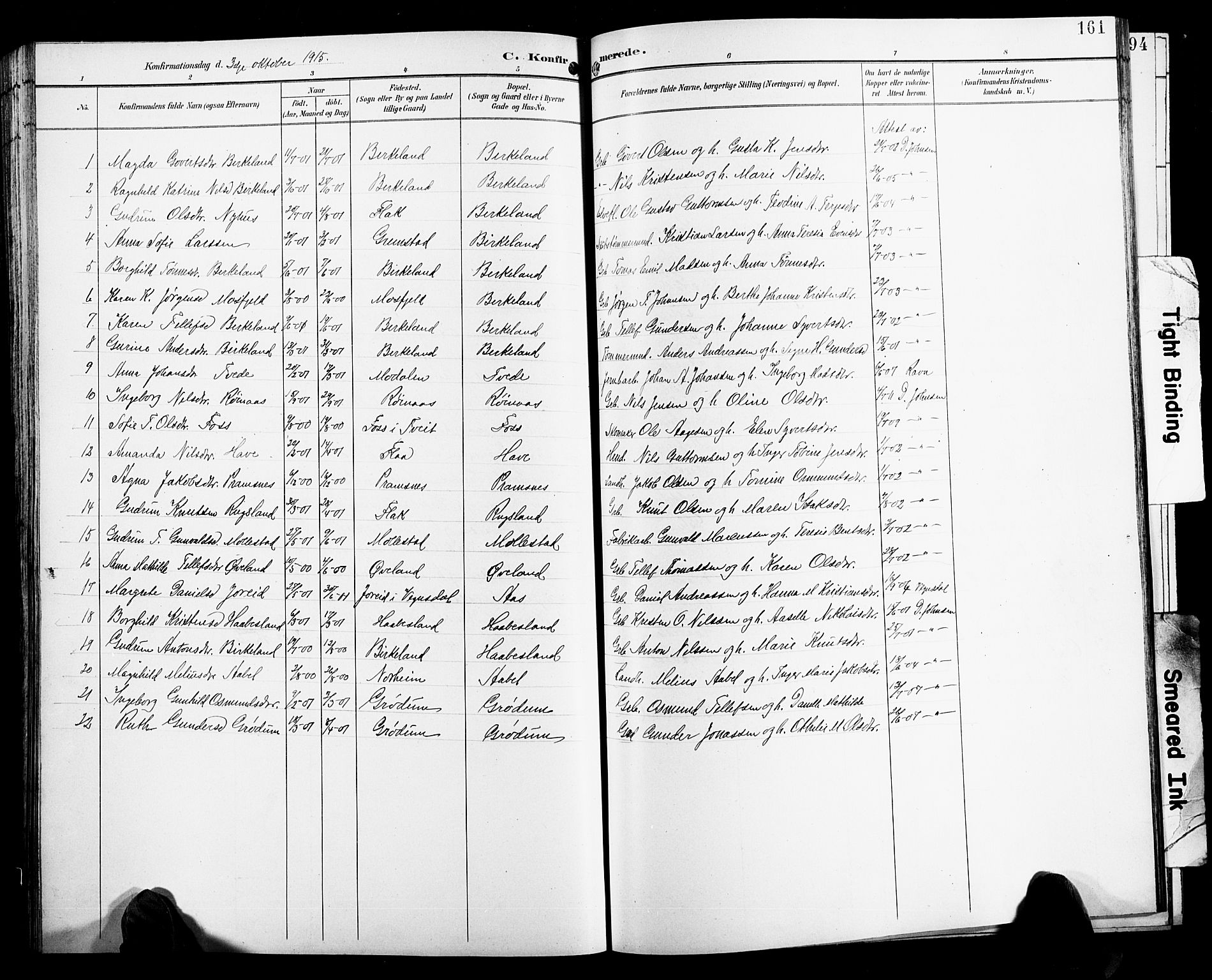 Birkenes sokneprestkontor, SAK/1111-0004/F/Fb/L0004: Parish register (copy) no. B 4, 1893-1930, p. 161