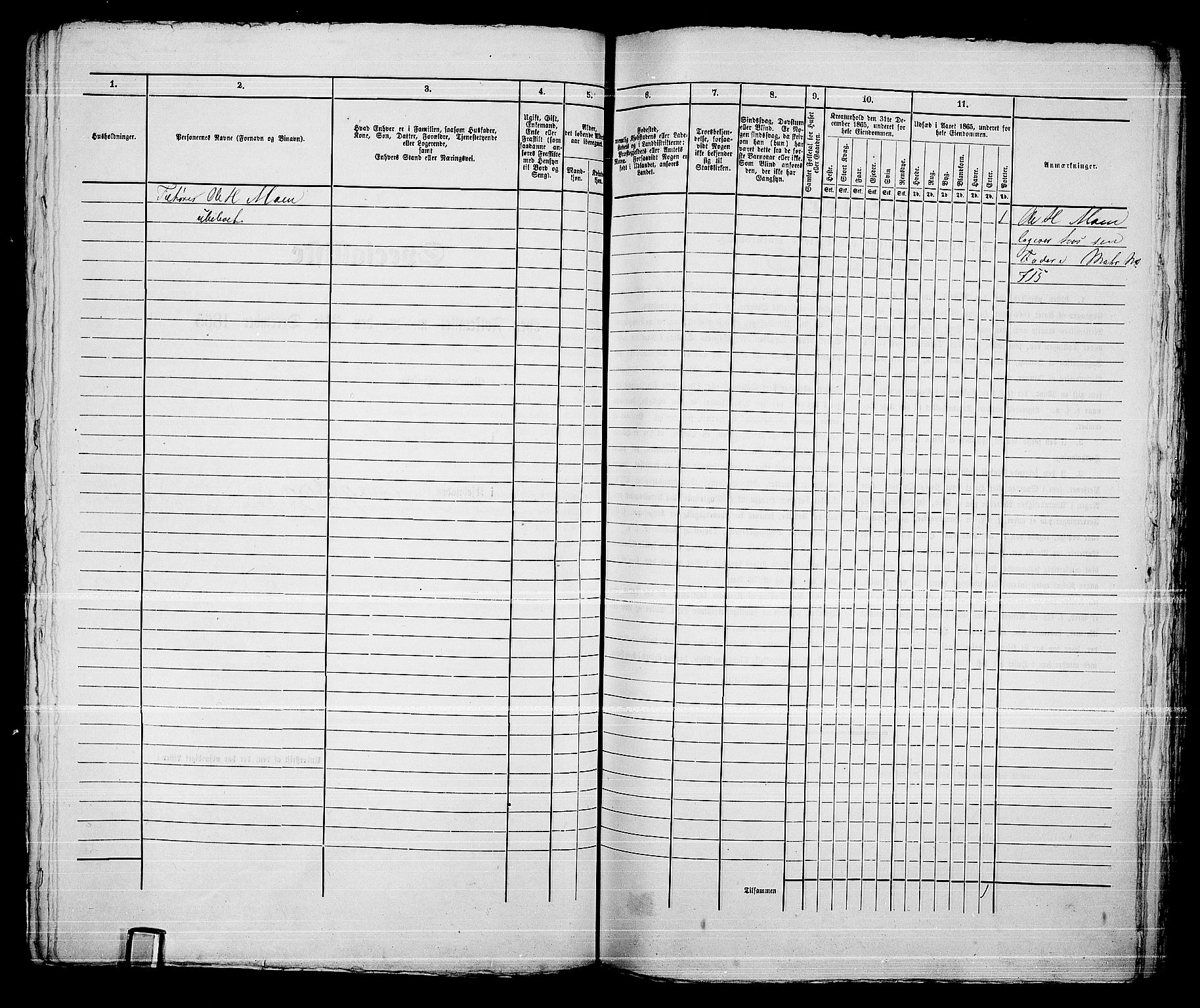 RA, 1865 census for Kongsberg/Kongsberg, 1865, p. 1349