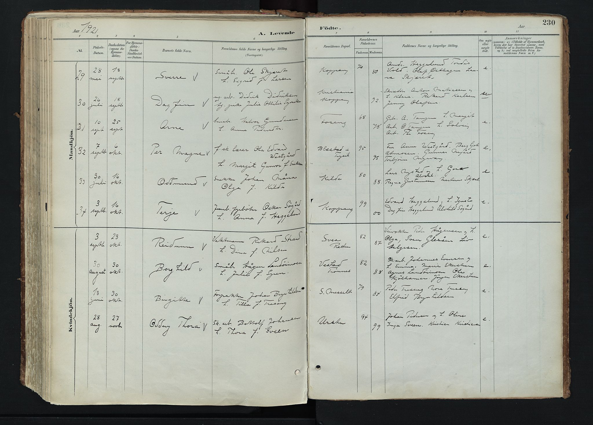 Stor-Elvdal prestekontor, AV/SAH-PREST-052/H/Ha/Haa/L0004: Parish register (official) no. 4, 1890-1922, p. 230