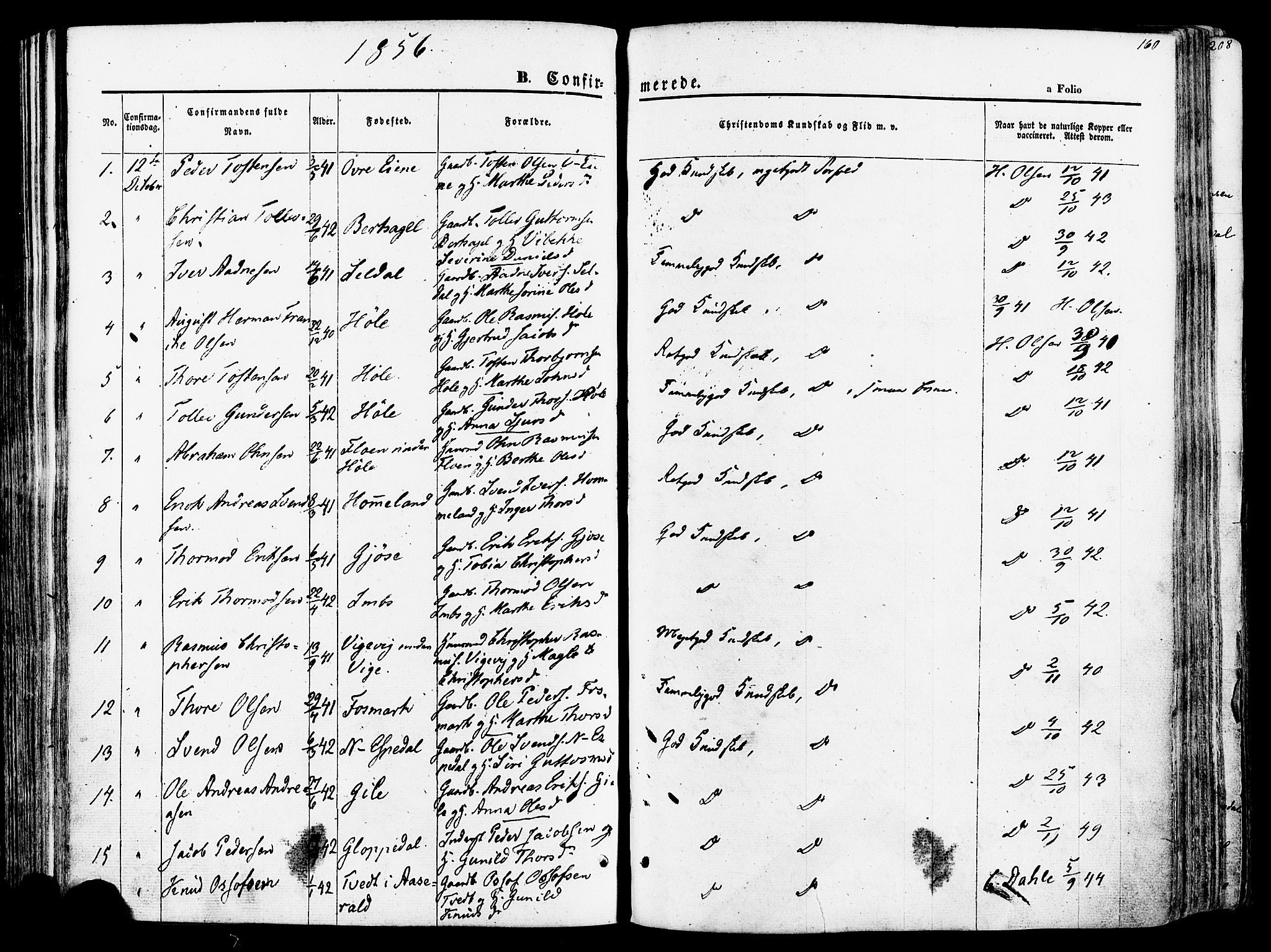 Høgsfjord sokneprestkontor, SAST/A-101624/H/Ha/Haa/L0002: Parish register (official) no. A 2, 1855-1885, p. 160
