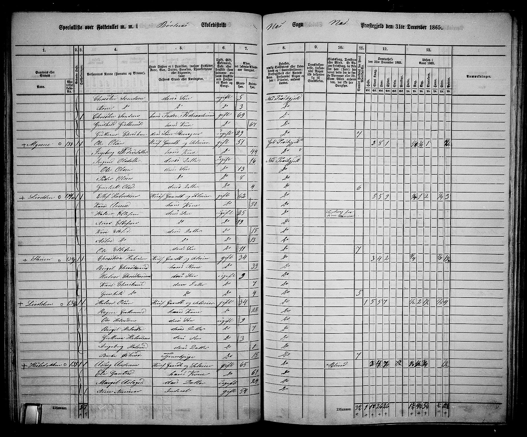 RA, 1865 census for Nes, 1865, p. 112