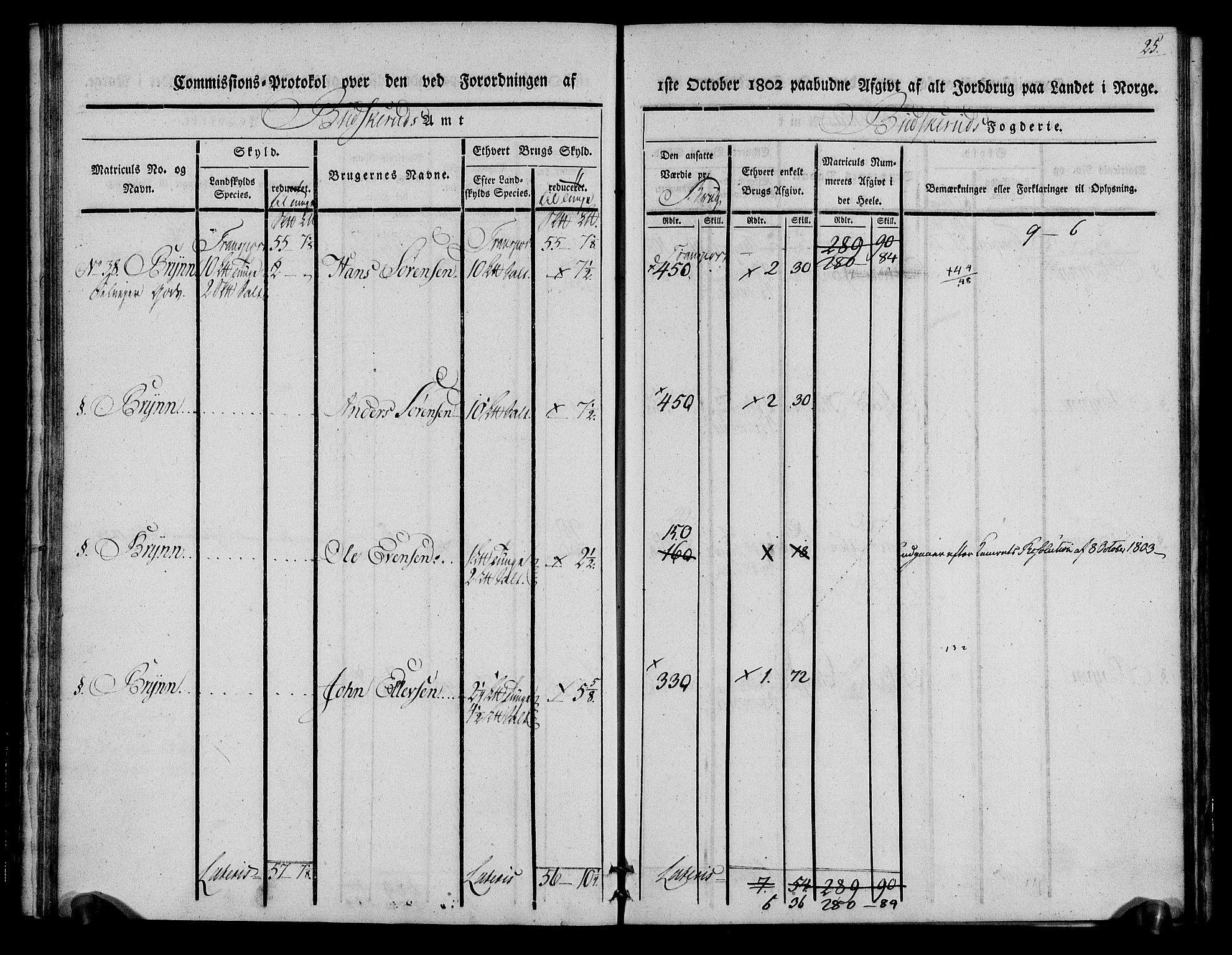 Rentekammeret inntil 1814, Realistisk ordnet avdeling, AV/RA-EA-4070/N/Ne/Nea/L0062: Buskerud fogderi. Kommisjonsprotokoll for Røyken prestegjeld, 1803, p. 25