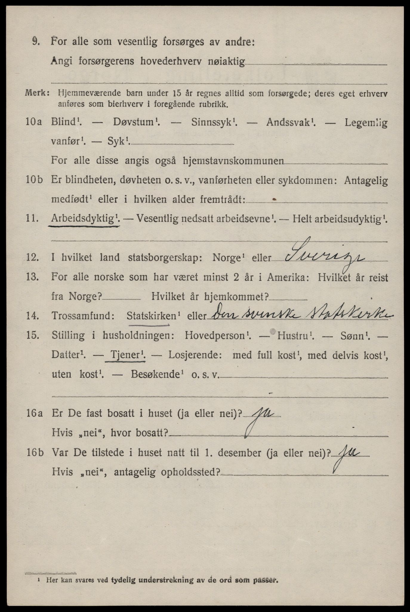SAKO, 1920 census for Nissedal, 1920, p. 1996