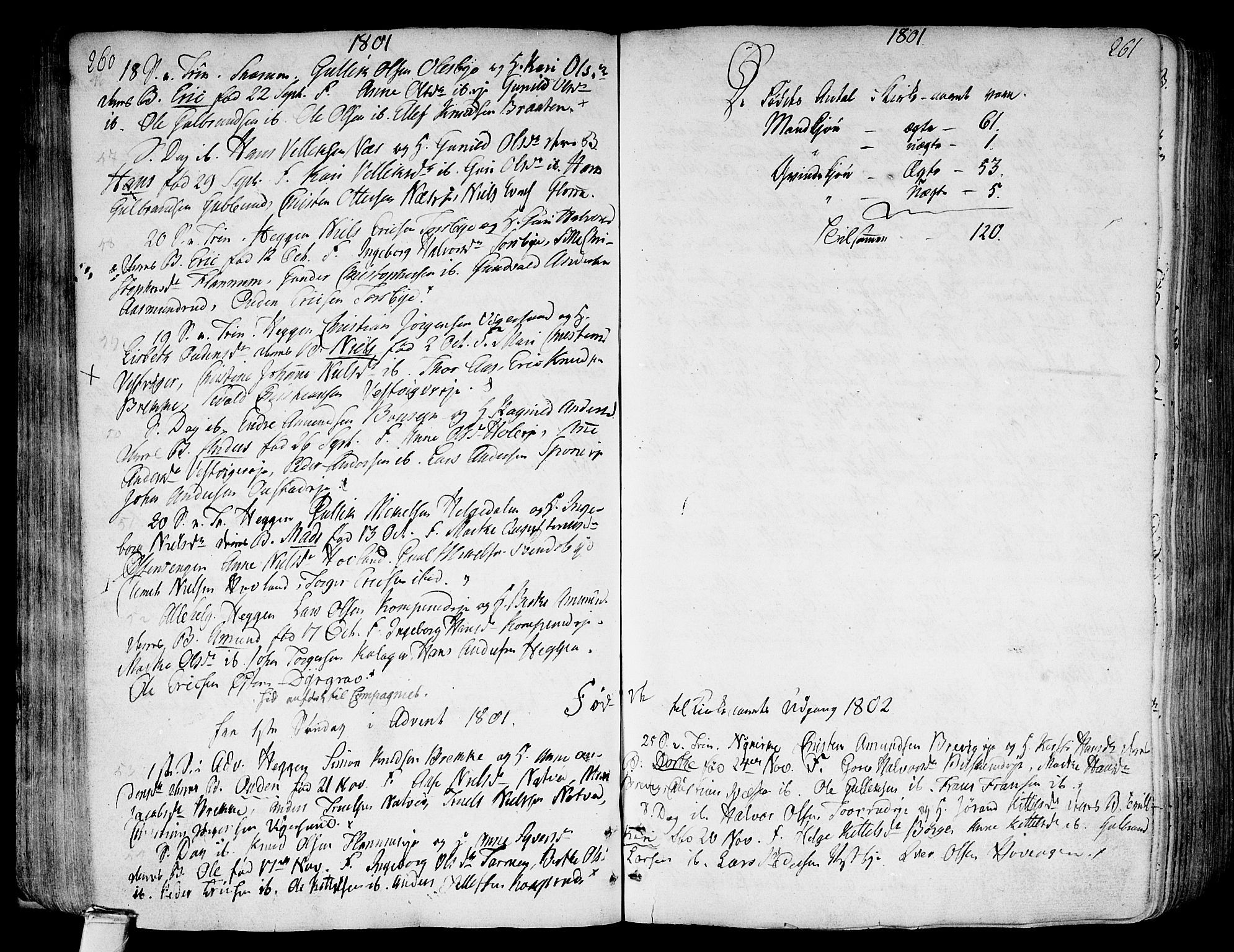 Modum kirkebøker, AV/SAKO-A-234/F/Fa/L0003: Parish register (official) no. 3, 1783-1819, p. 260-261