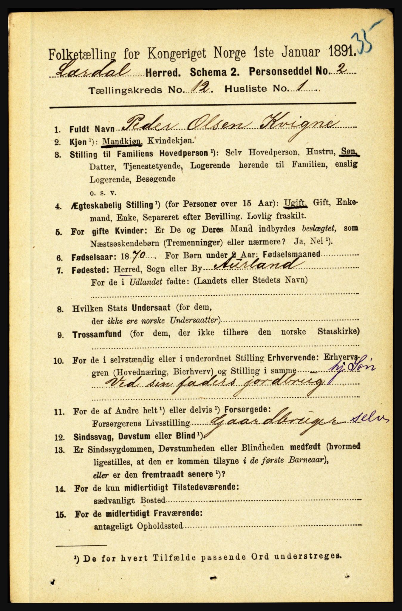 RA, 1891 census for 1422 Lærdal, 1891, p. 2549