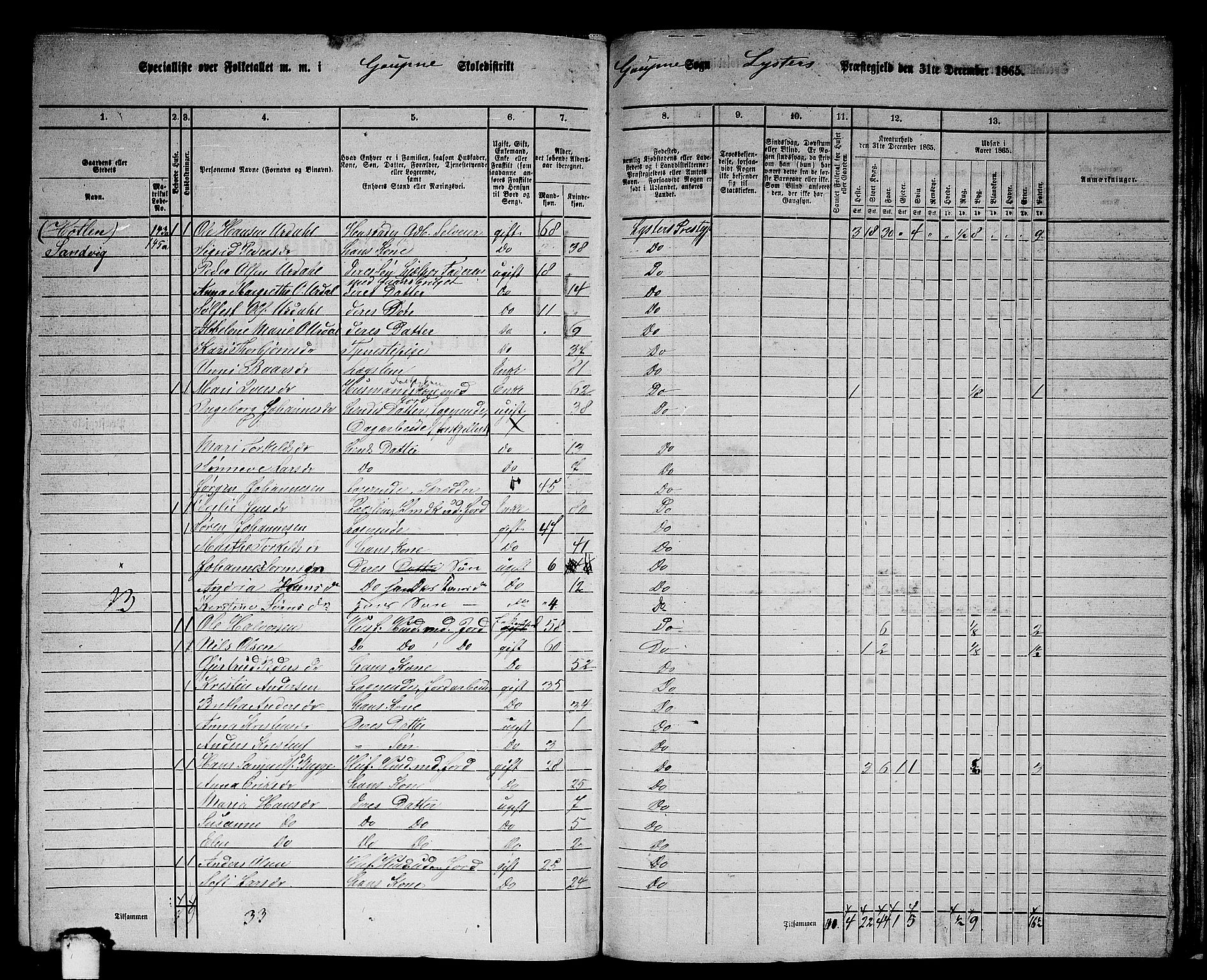RA, 1865 census for Luster, 1865, p. 141