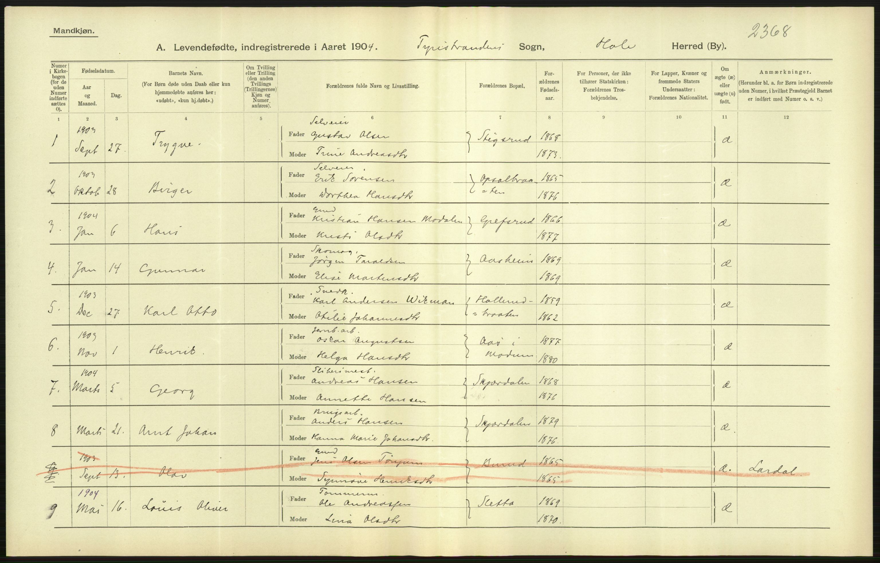 Statistisk sentralbyrå, Sosiodemografiske emner, Befolkning, AV/RA-S-2228/D/Df/Dfa/Dfab/L0007: Buskerud amt: Fødte, gifte, døde, 1904, p. 35