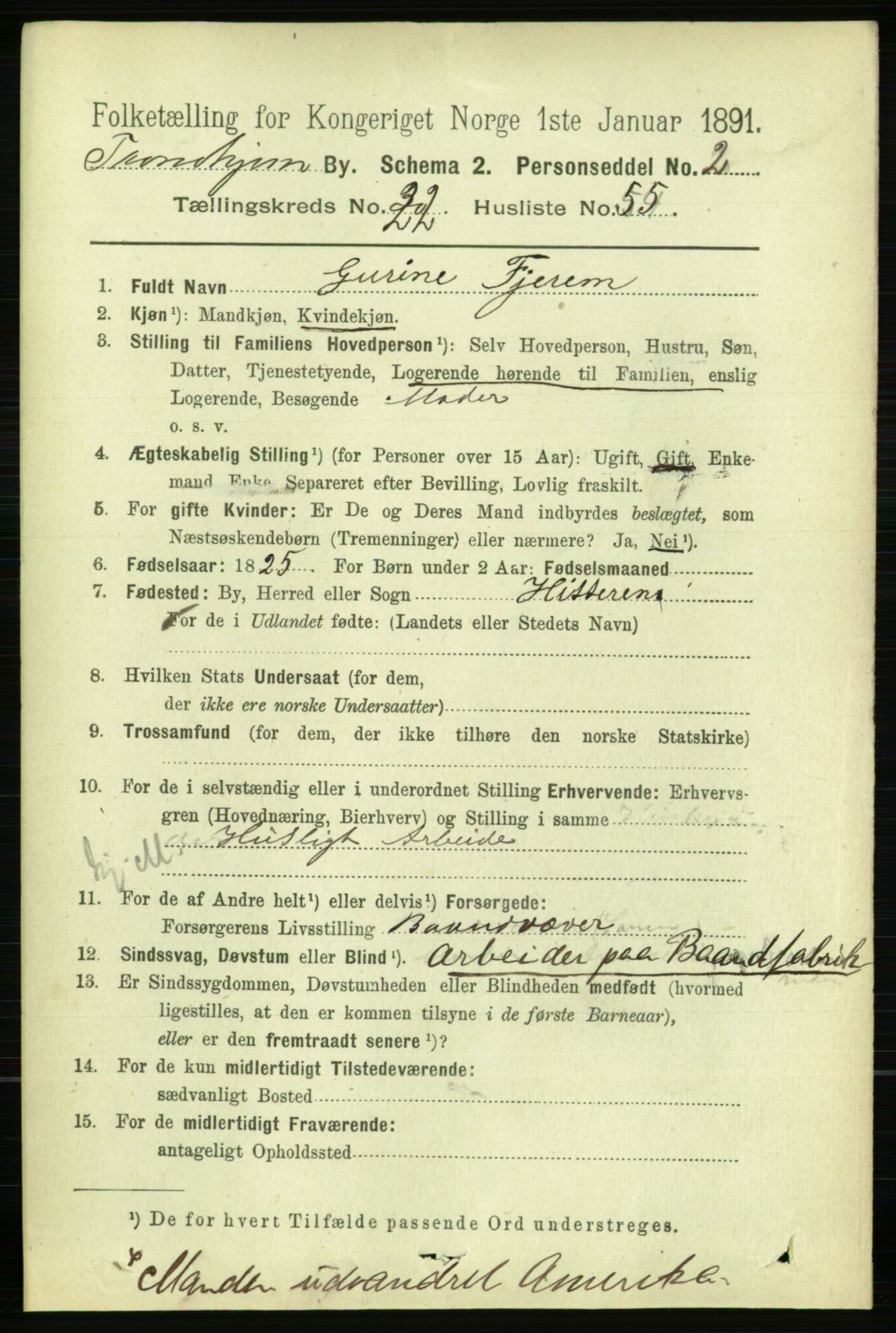 RA, 1891 census for 1601 Trondheim, 1891, p. 17251