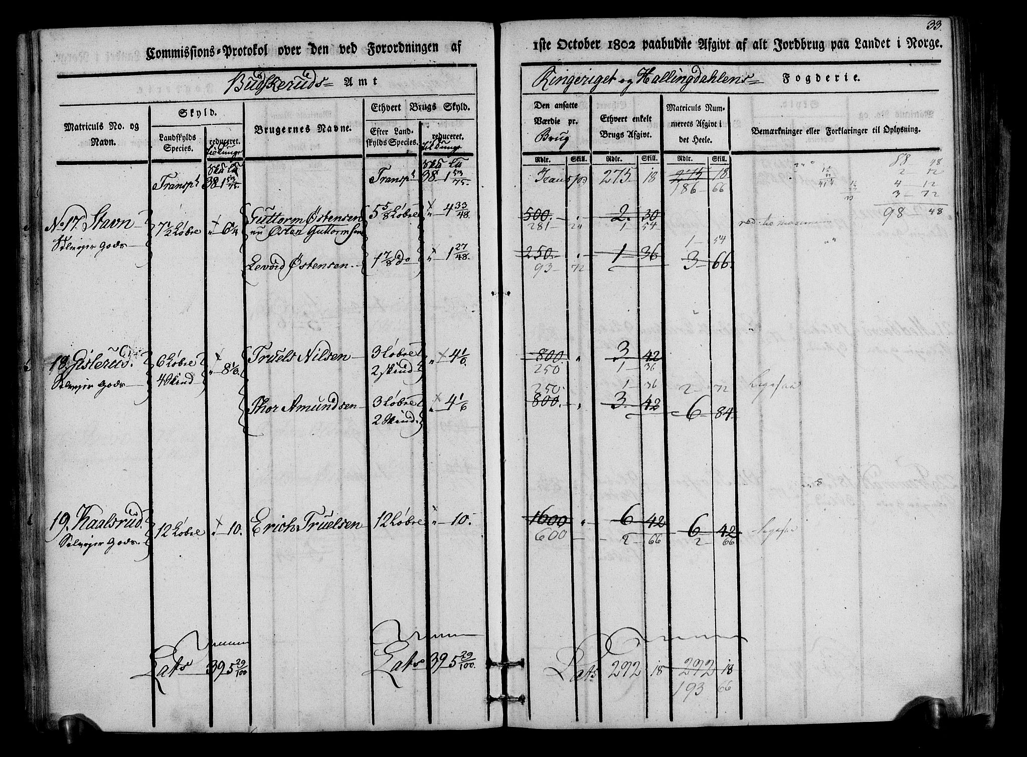 Rentekammeret inntil 1814, Realistisk ordnet avdeling, AV/RA-EA-4070/N/Ne/Nea/L0047: Ringerike og Hallingdal fogderi. Kommisjonsprotokoll for Nes prestegjeld, 1803, p. 35