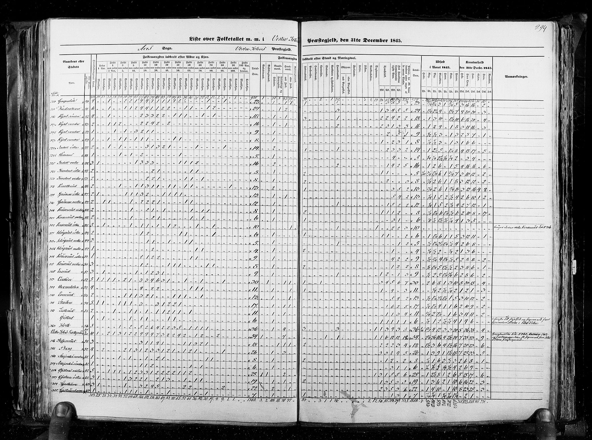 RA, Census 1845, vol. 3: Hedemarken amt og Kristians amt, 1845, p. 294