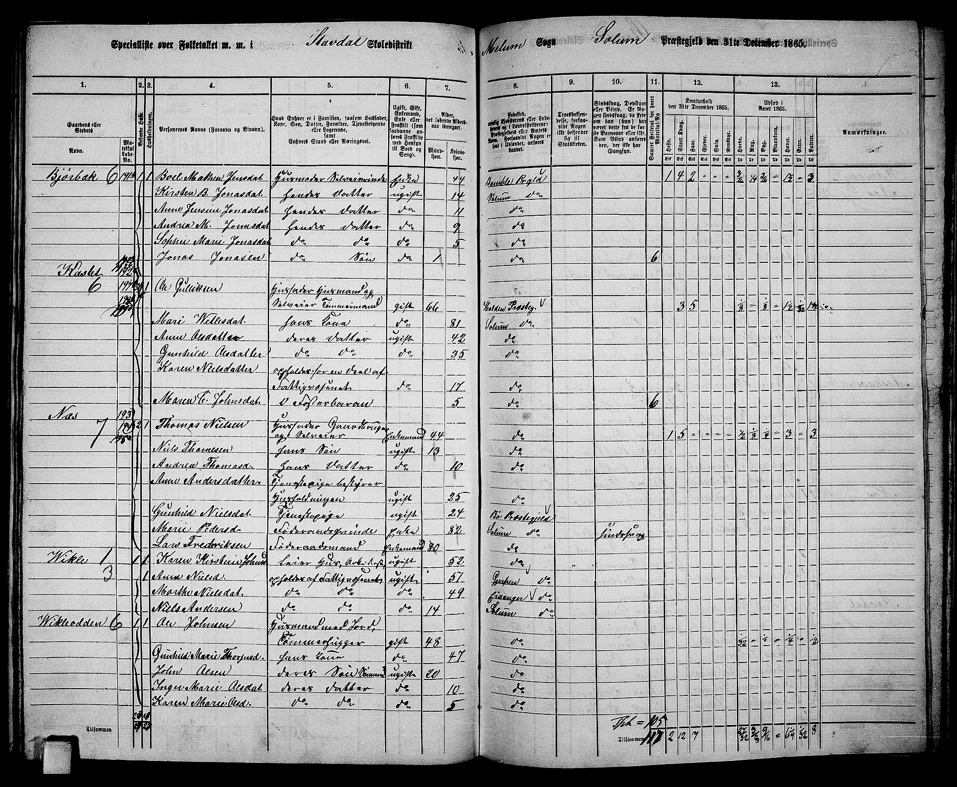 RA, 1865 census for Solum, 1865, p. 163