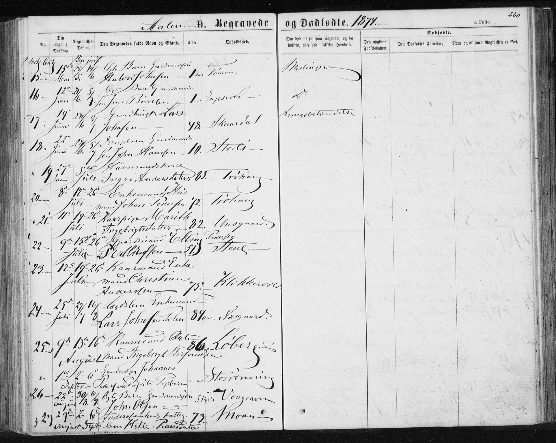Ministerialprotokoller, klokkerbøker og fødselsregistre - Sør-Trøndelag, SAT/A-1456/685/L0971: Parish register (official) no. 685A08 /3, 1870-1879, p. 260