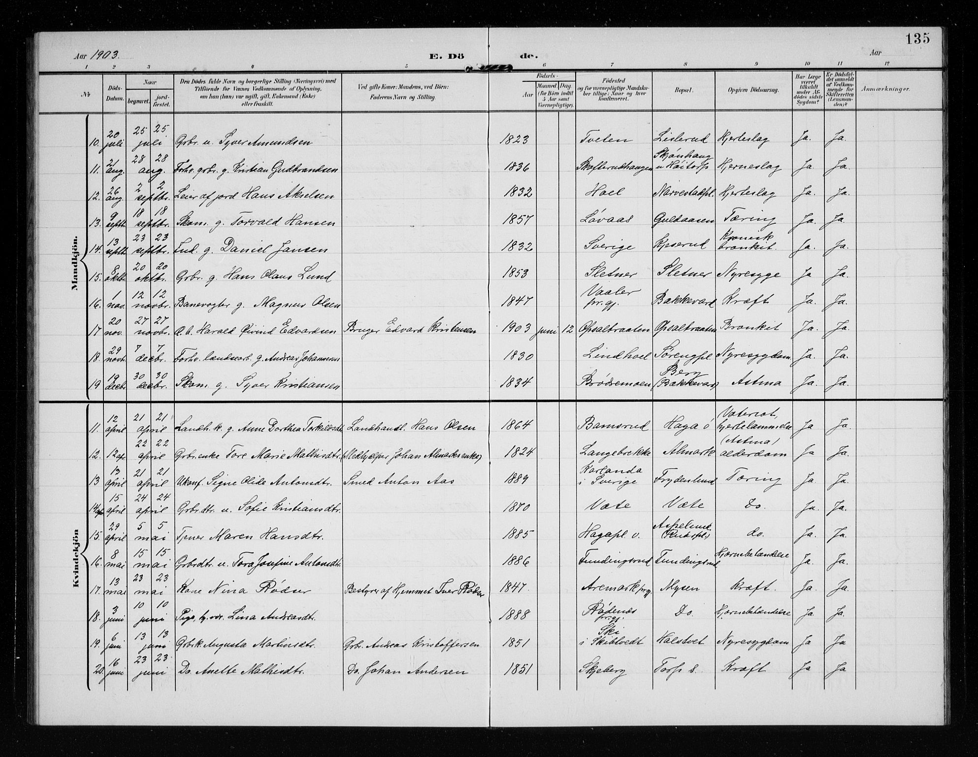 Eidsberg prestekontor Kirkebøker, SAO/A-10905/G/Ga/L0002: Parish register (copy) no. I 2, 1903-1913, p. 135