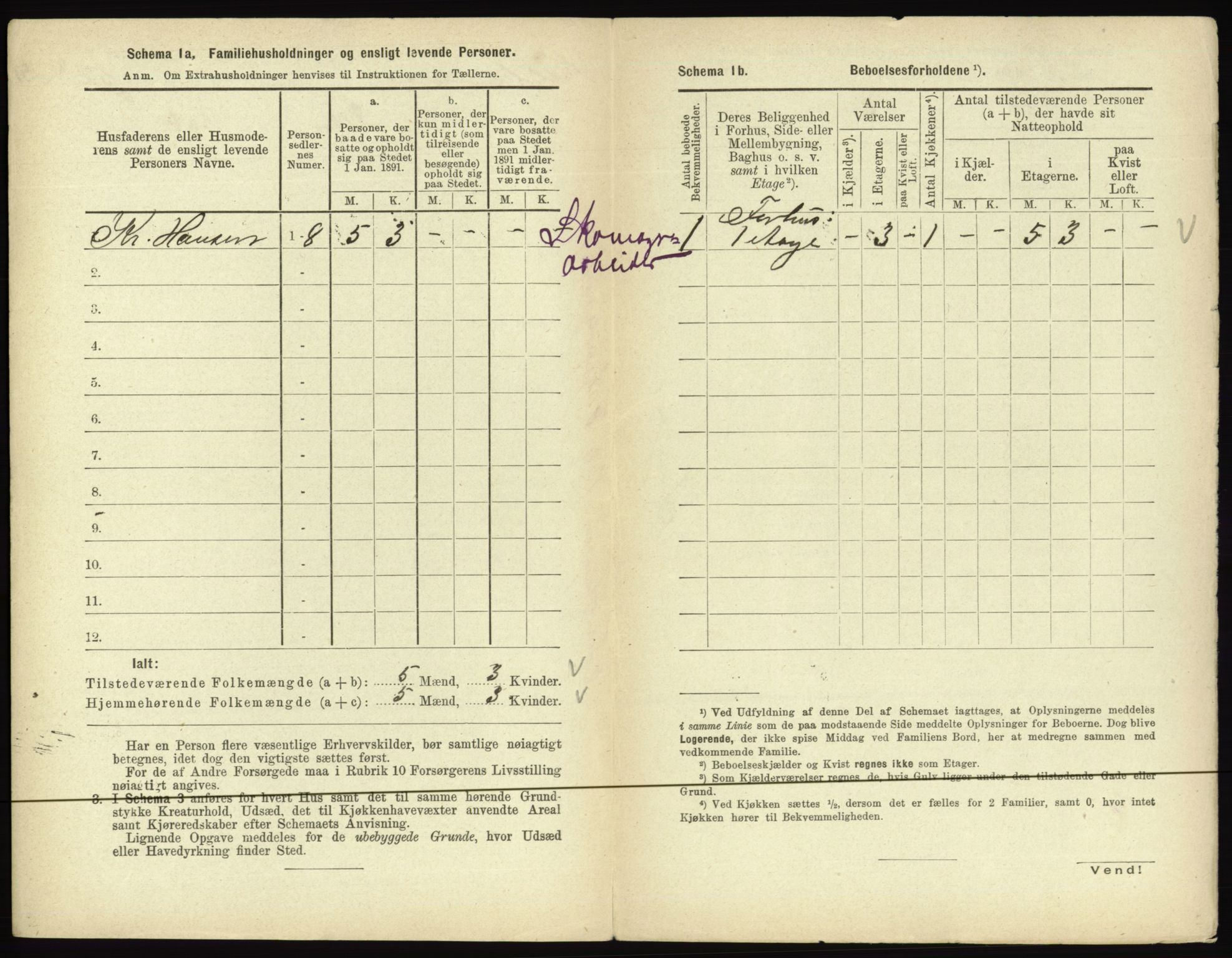 RA, 1891 census for 0501 Lillehammer, 1891, p. 524