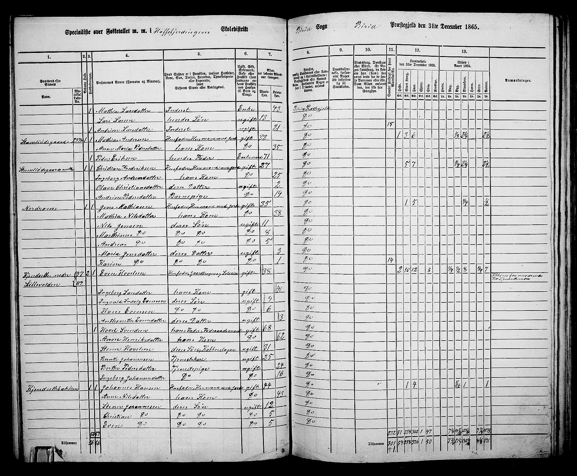 RA, 1865 census for Biri, 1865, p. 97