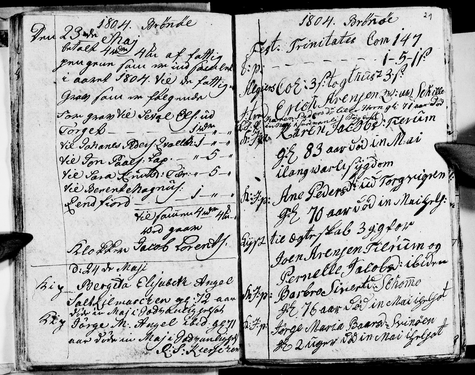 Ministerialprotokoller, klokkerbøker og fødselsregistre - Nordland, AV/SAT-A-1459/813/L0209: Parish register (copy) no. 813C01, 1803-1821, p. 21