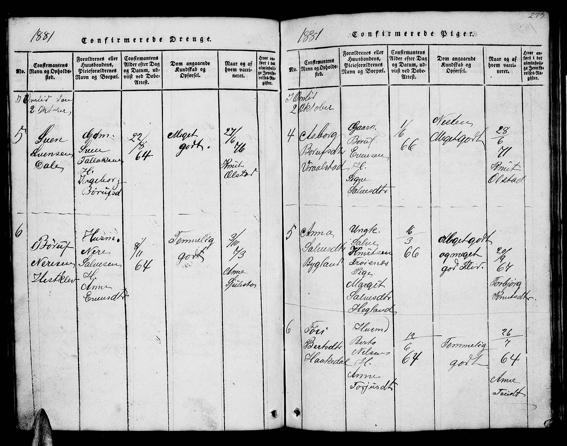 Åmli sokneprestkontor, AV/SAK-1111-0050/F/Fb/Fbb/L0001: Parish register (copy) no. B 1, 1816-1889, p. 273