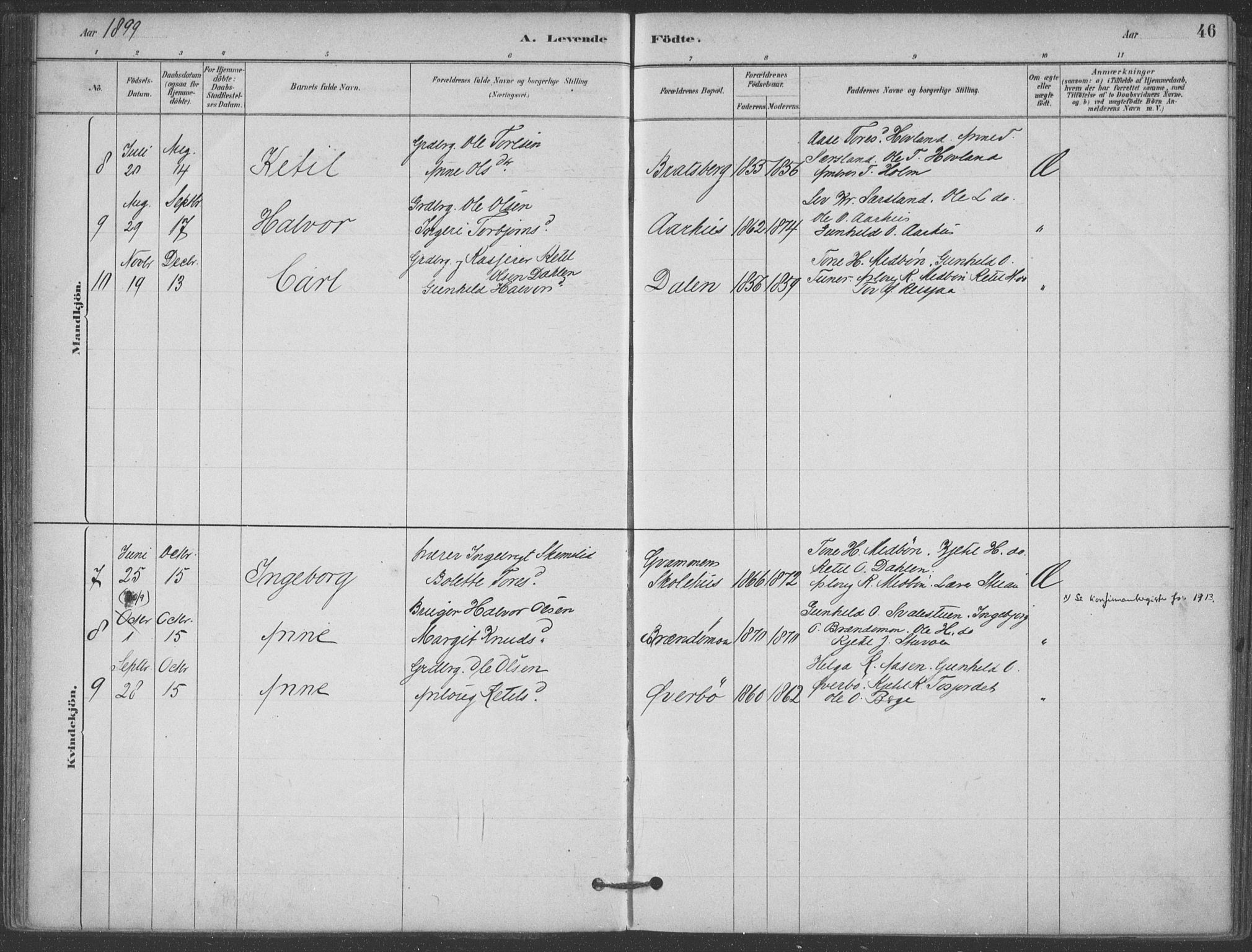 Hjartdal kirkebøker, SAKO/A-270/F/Fa/L0010: Parish register (official) no. I 10, 1880-1929, p. 46