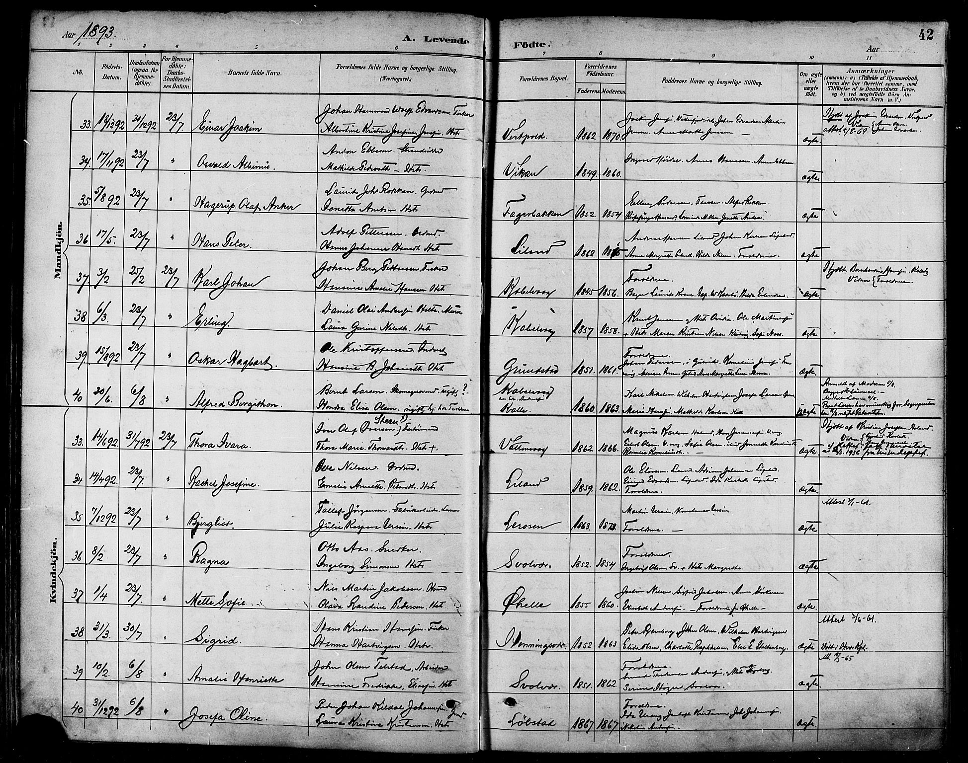 Ministerialprotokoller, klokkerbøker og fødselsregistre - Nordland, SAT/A-1459/874/L1060: Parish register (official) no. 874A04, 1890-1899, p. 42