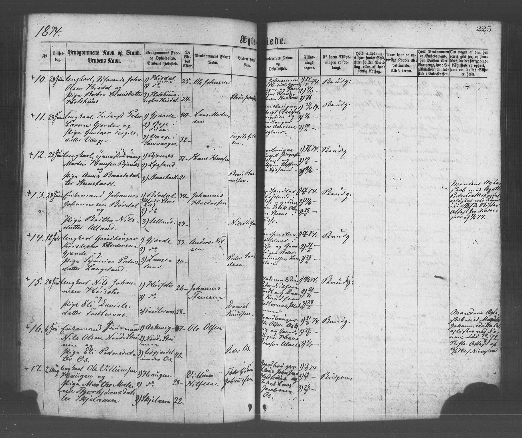Os sokneprestembete, SAB/A-99929: Parish register (official) no. A 18, 1874-1884, p. 225