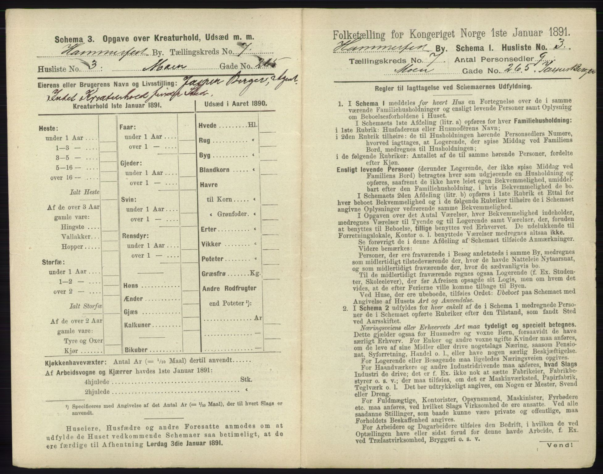 RA, 1891 census for 2001 Hammerfest, 1891, p. 2214