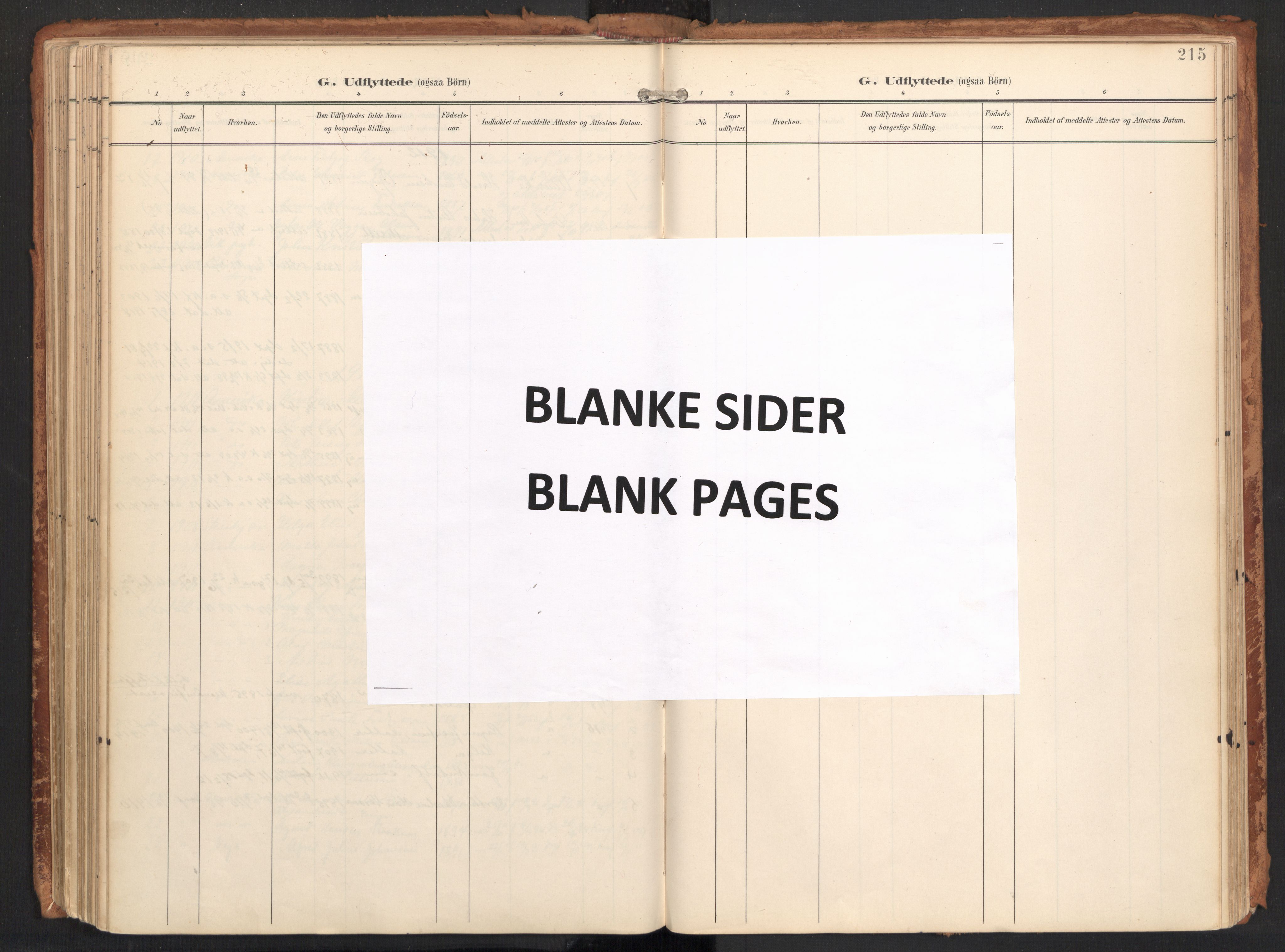 Ministerialprotokoller, klokkerbøker og fødselsregistre - Nordland, AV/SAT-A-1459/814/L0227: Parish register (official) no. 814A08, 1899-1920, p. 215