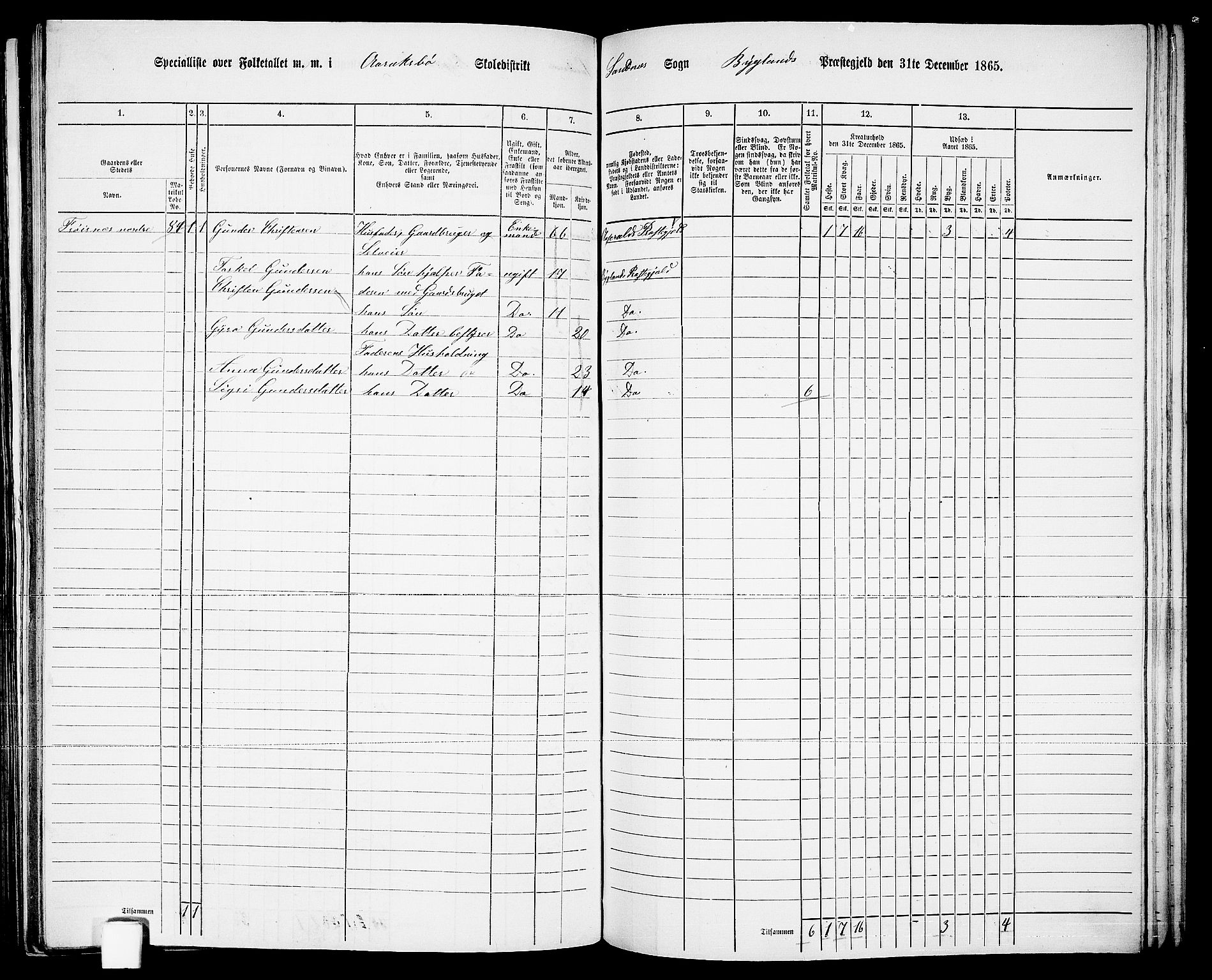 RA, 1865 census for Bygland, 1865, p. 43