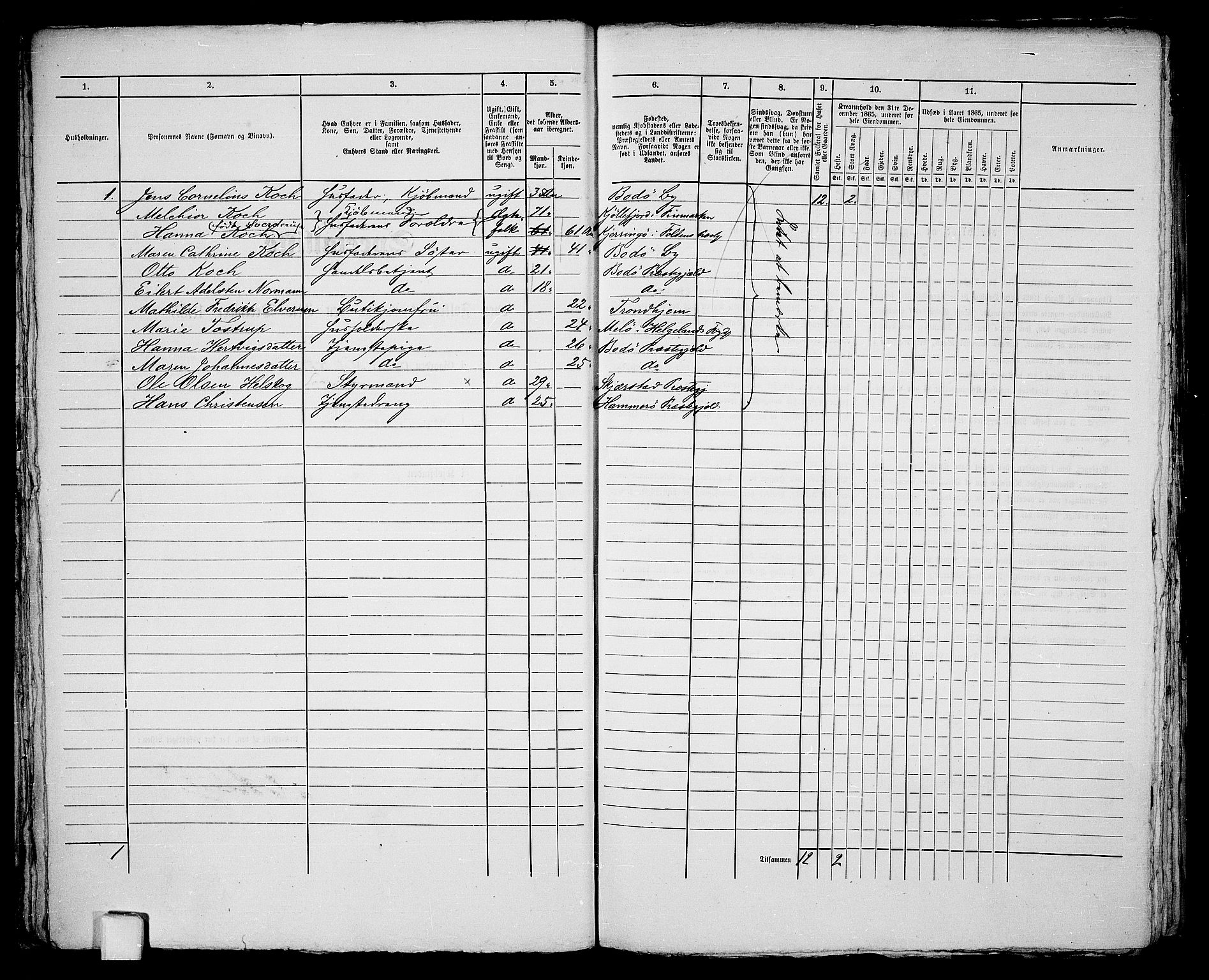 RA, 1865 census for Bodø/Bodø, 1865, p. 43