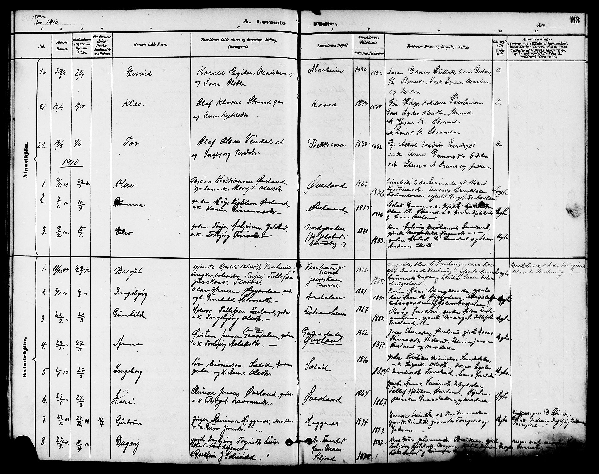 Seljord kirkebøker, SAKO/A-20/G/Ga/L0005: Parish register (copy) no. I 5, 1887-1914, p. 63