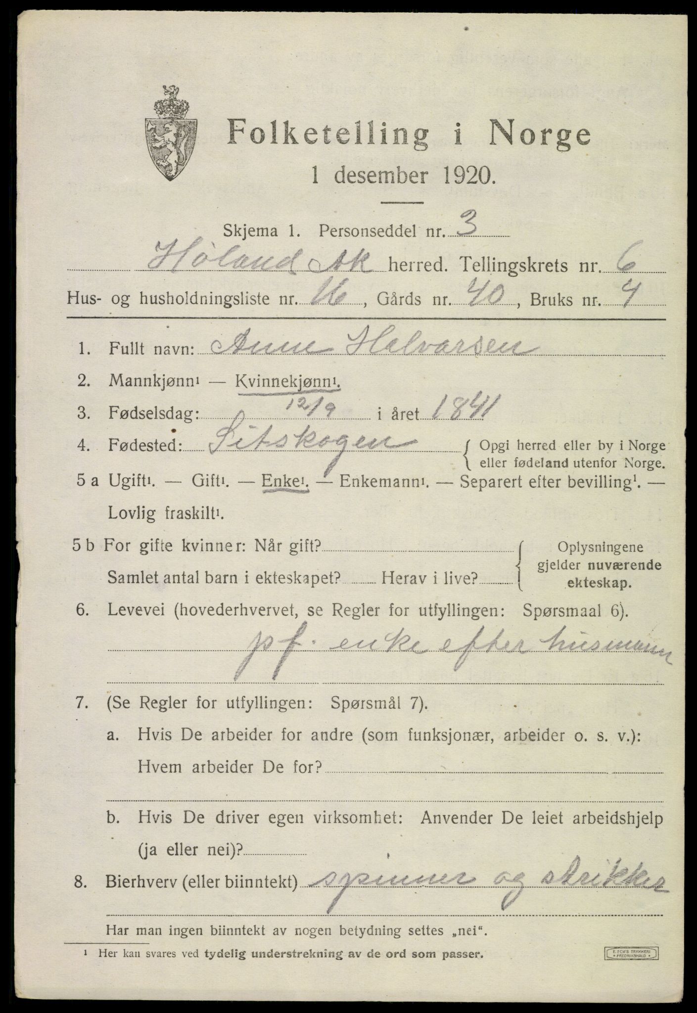 SAO, 1920 census for Høland, 1920, p. 9191