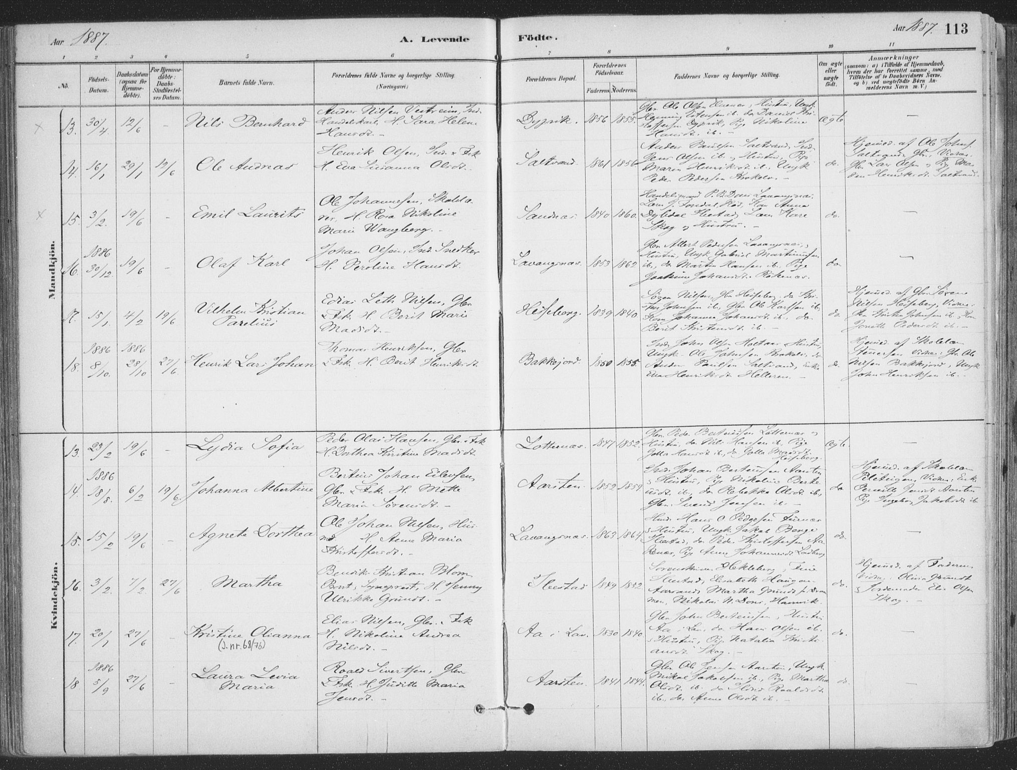 Ibestad sokneprestembete, AV/SATØ-S-0077/H/Ha/Haa/L0011kirke: Parish register (official) no. 11, 1880-1889, p. 113